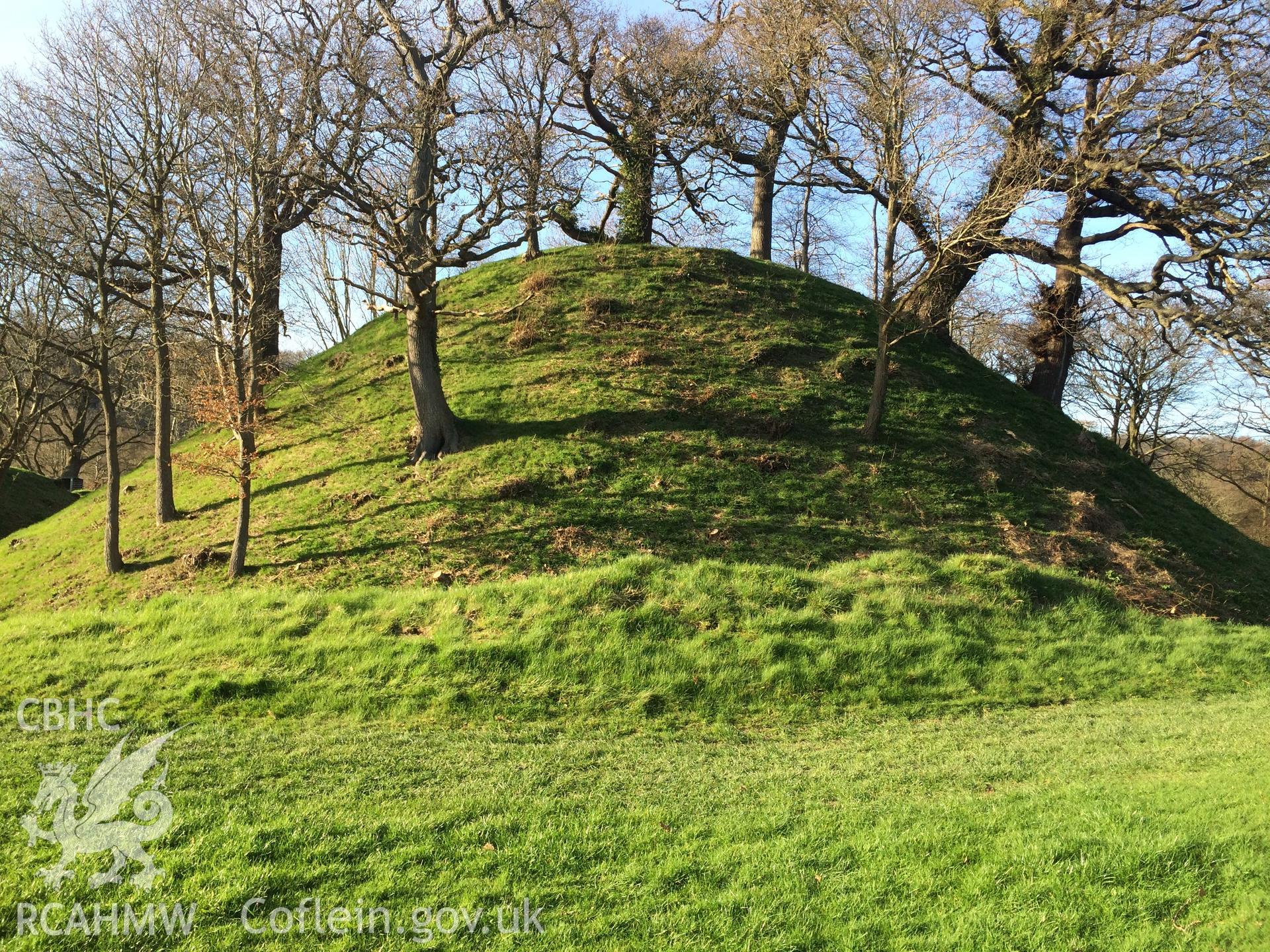 Colour photo showing Gro Tump, produced by Paul R. Davis, 25th March 2017.