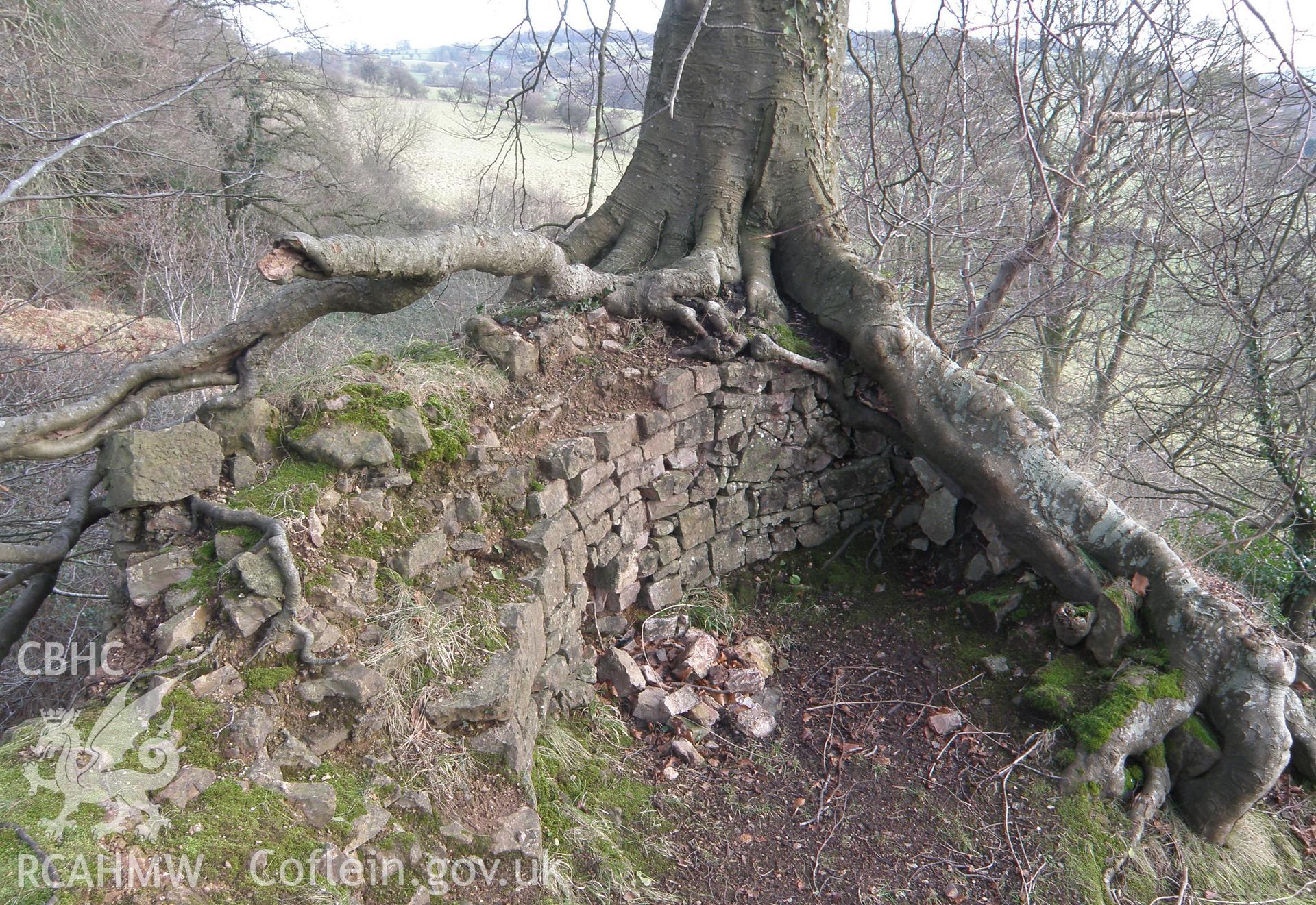 Colour photo of Castell Meredydd, taken by Paul R. Davis, 28th December 2009.