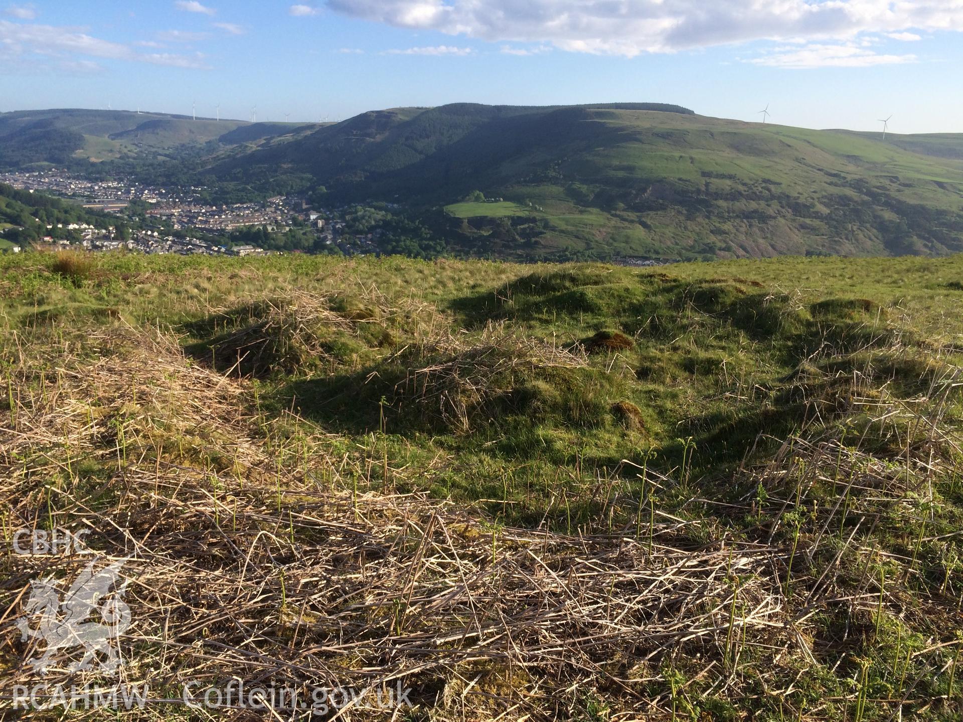 Colour photo showing Hendre'r Gelli, taken by Paul R. Davis, 2nd June 2016.