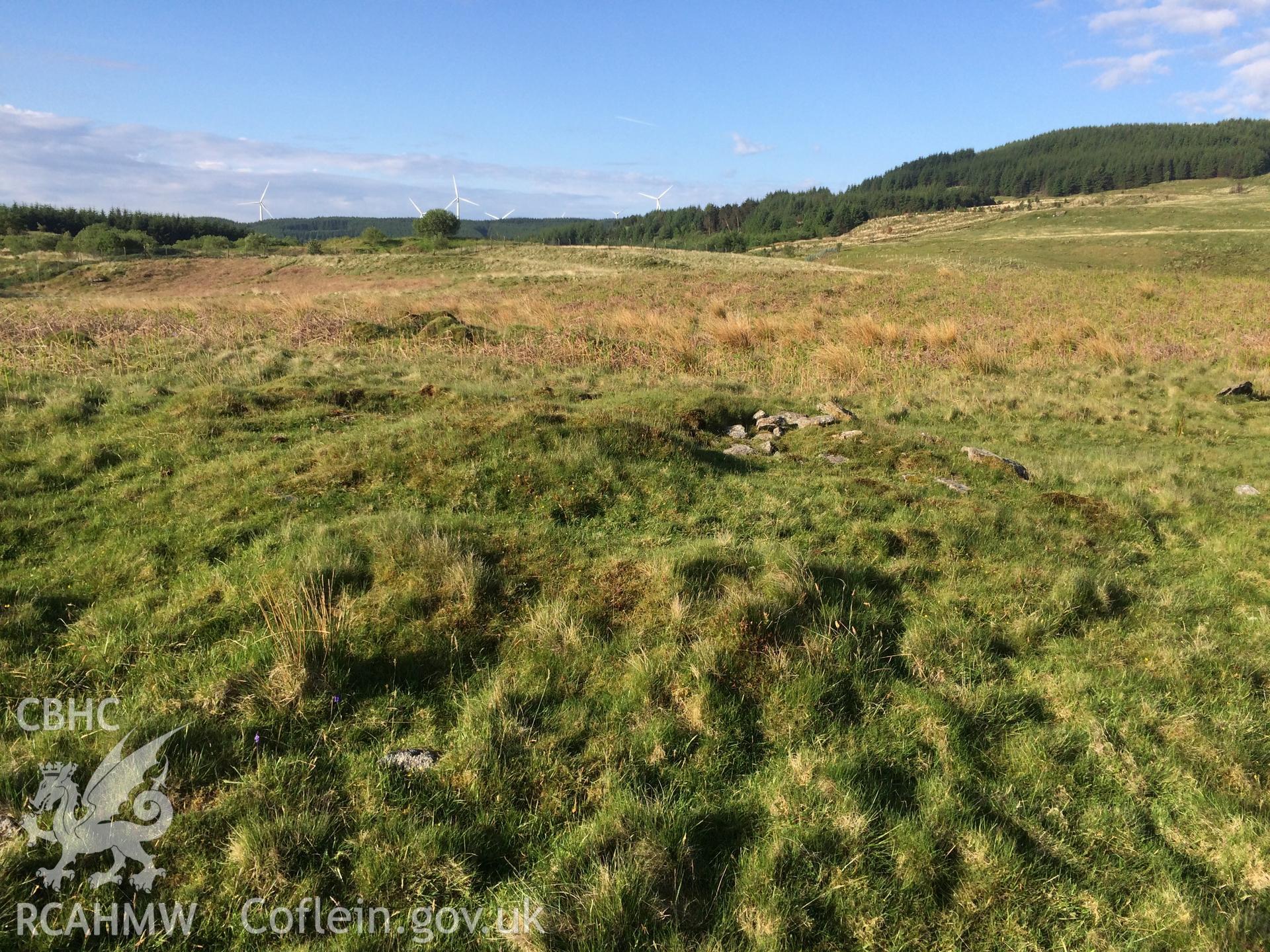 Colour photo showing Hendre'r Gelli, taken by Paul R. Davis, 2nd June 2016.