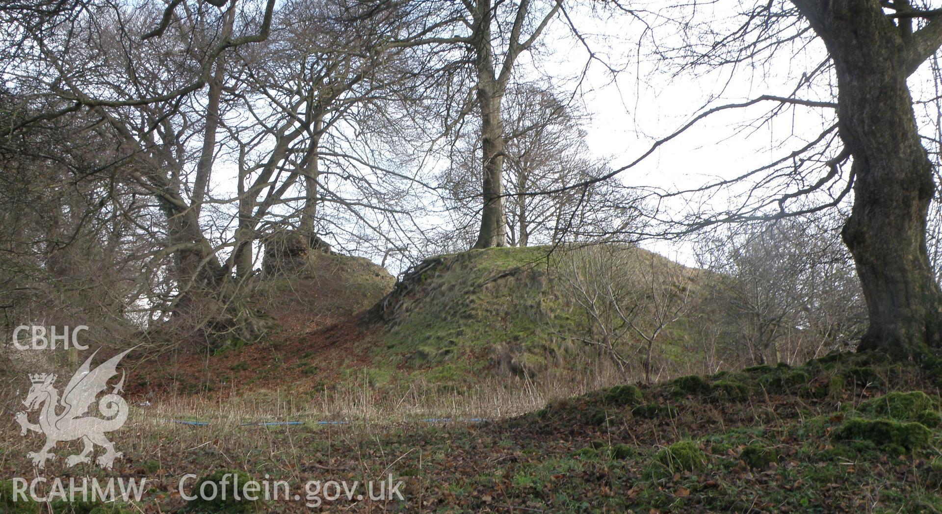 Colour photo of Castell Meredydd, taken by Paul R. Davis, 28th December 2009.