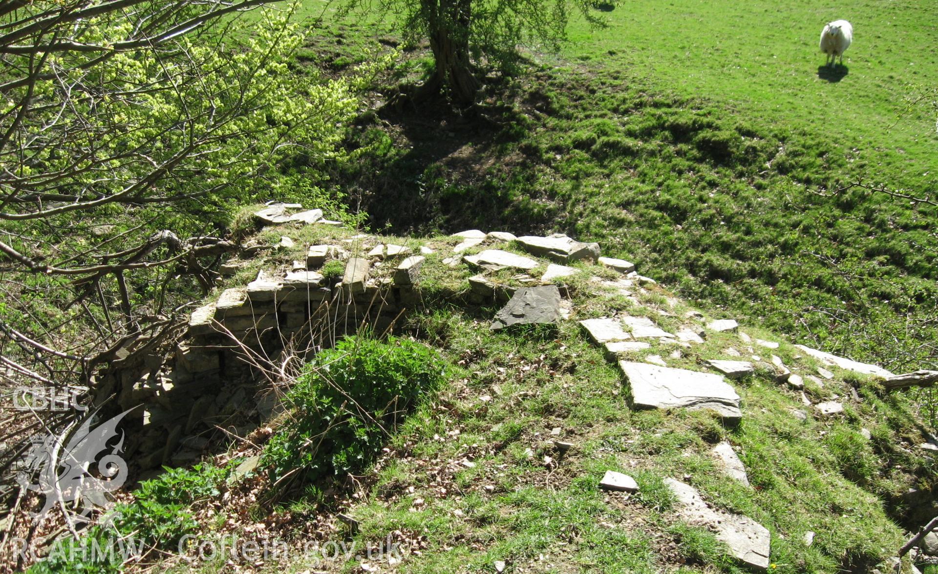 Colour photo of Aberedw Castle, taken by Paul R. Davis, 24th January 2007.