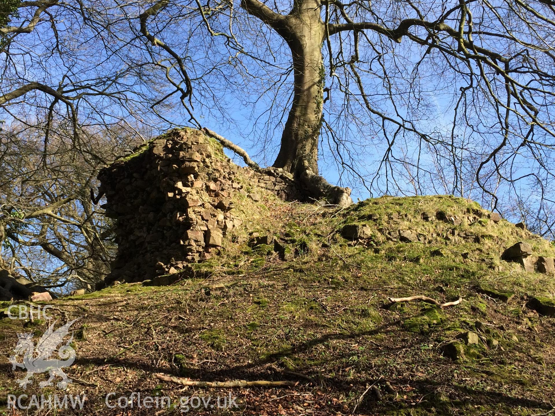 Colour photo showing Castell Meredydd, produced by  Paul R. Davis, 2nd February 2017.