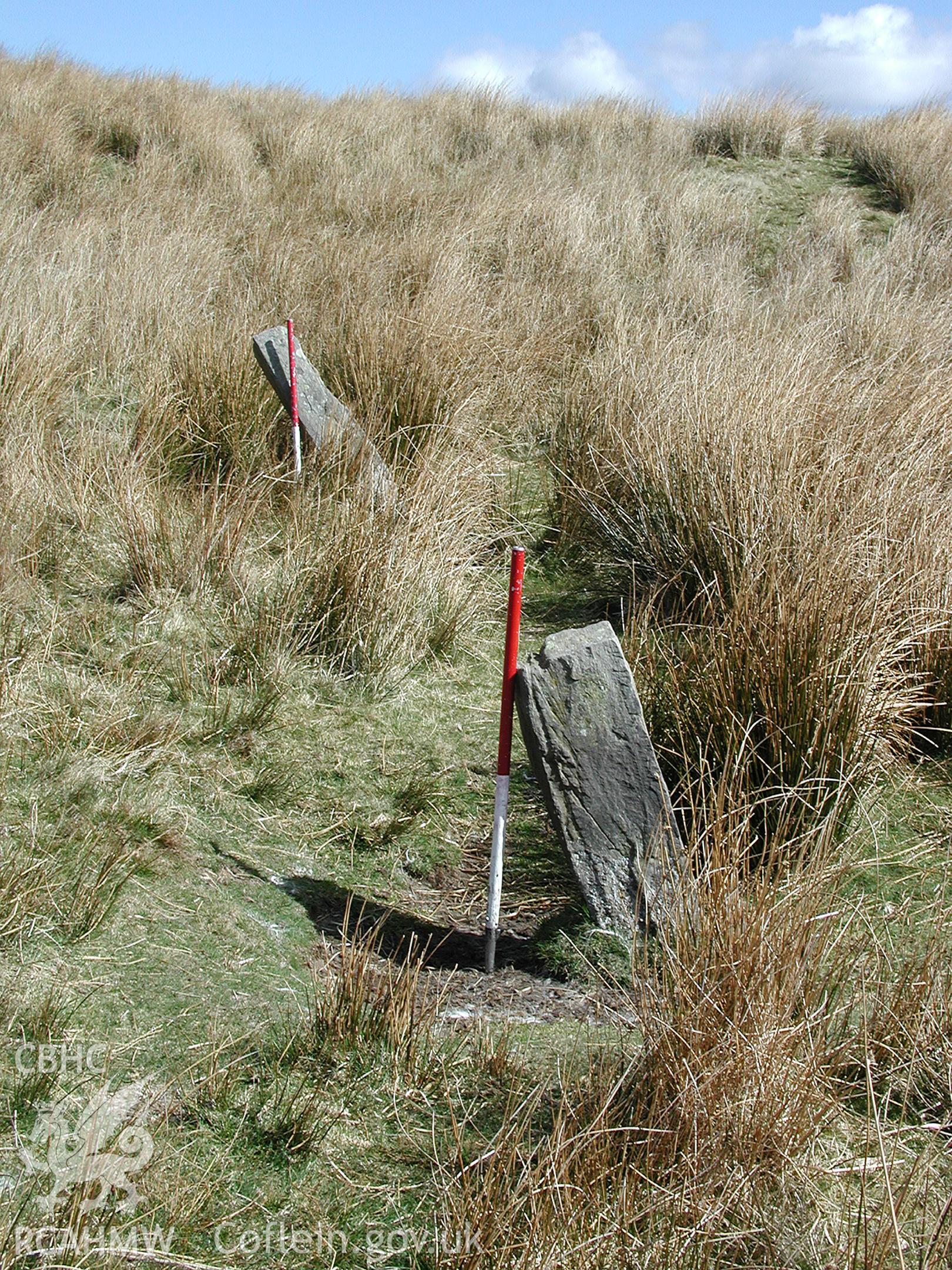 Digital photograph of Cefn Car Stone Row taken on 03/04/2003 by Cambrian Archaeological Projects during the Pontsticill Upland Survey