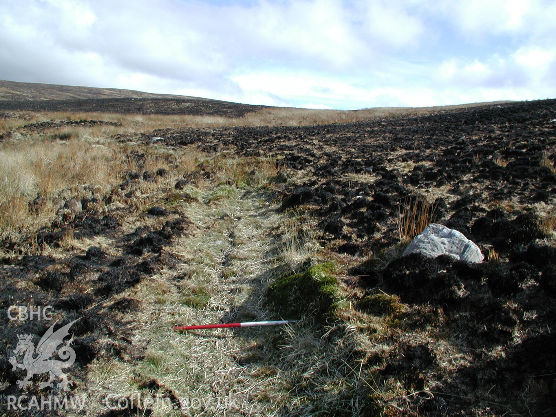 Digital photograph of Cefn Car Track taken on 03/04/2003 by Cambrian Archaeological Projects during the Pontsticill Upland Survey