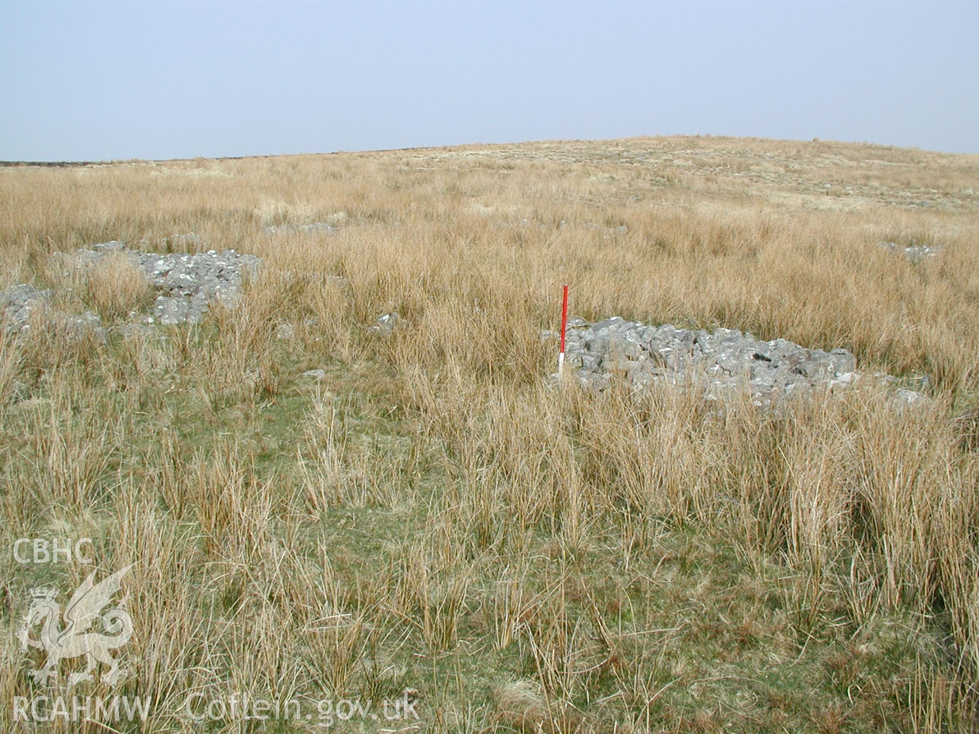 Digital photograph of Cefn Car Enclosure VII taken on 27/03/2003 by Cambrian Archaeological Projects during the Pontsticill Upland Survey