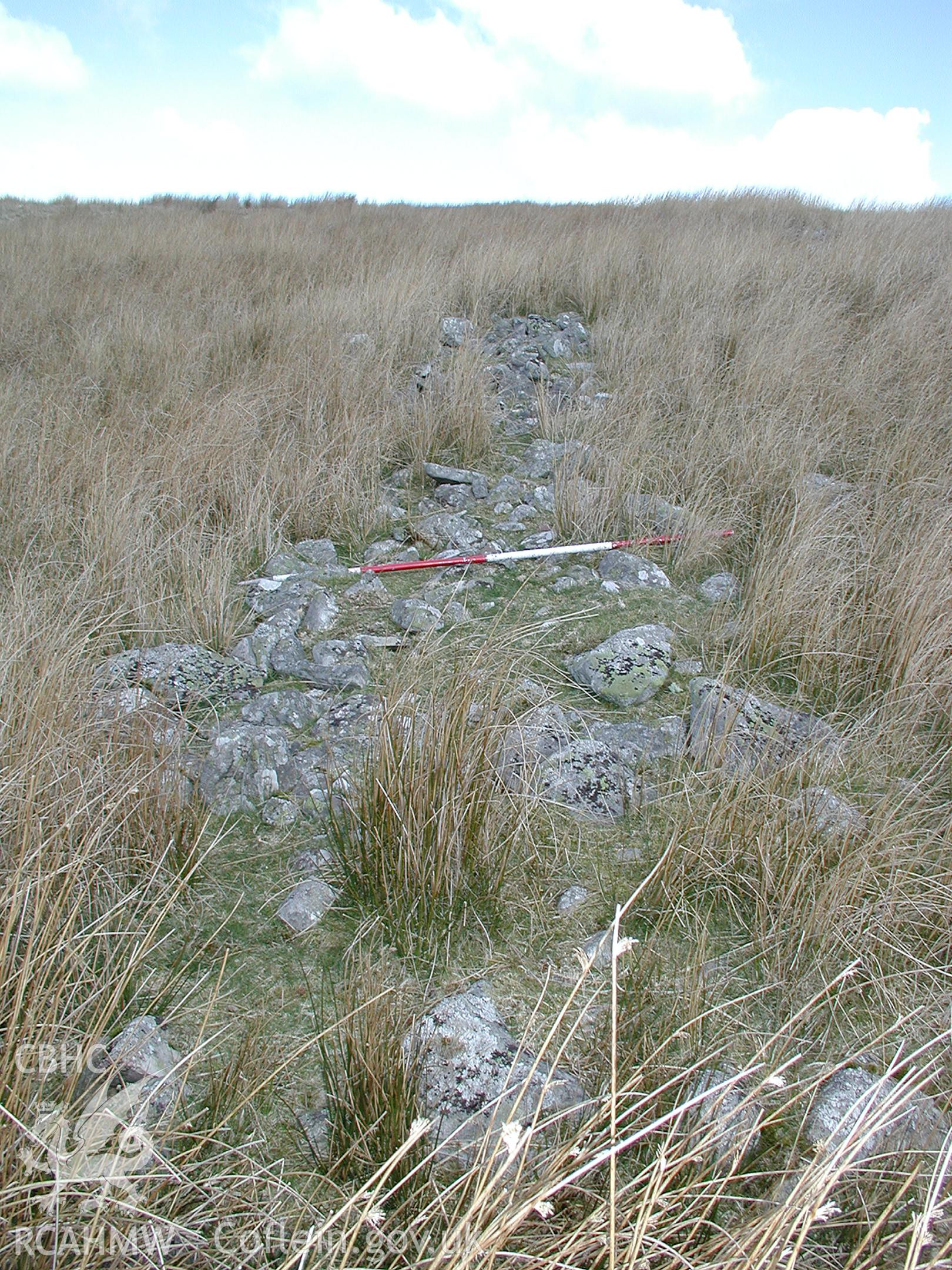 Digital photograph of Cefn Car Field Bank II taken on 03/04/2003 by Cambrian Archaeological Projects during the Pontsticill Upland Survey