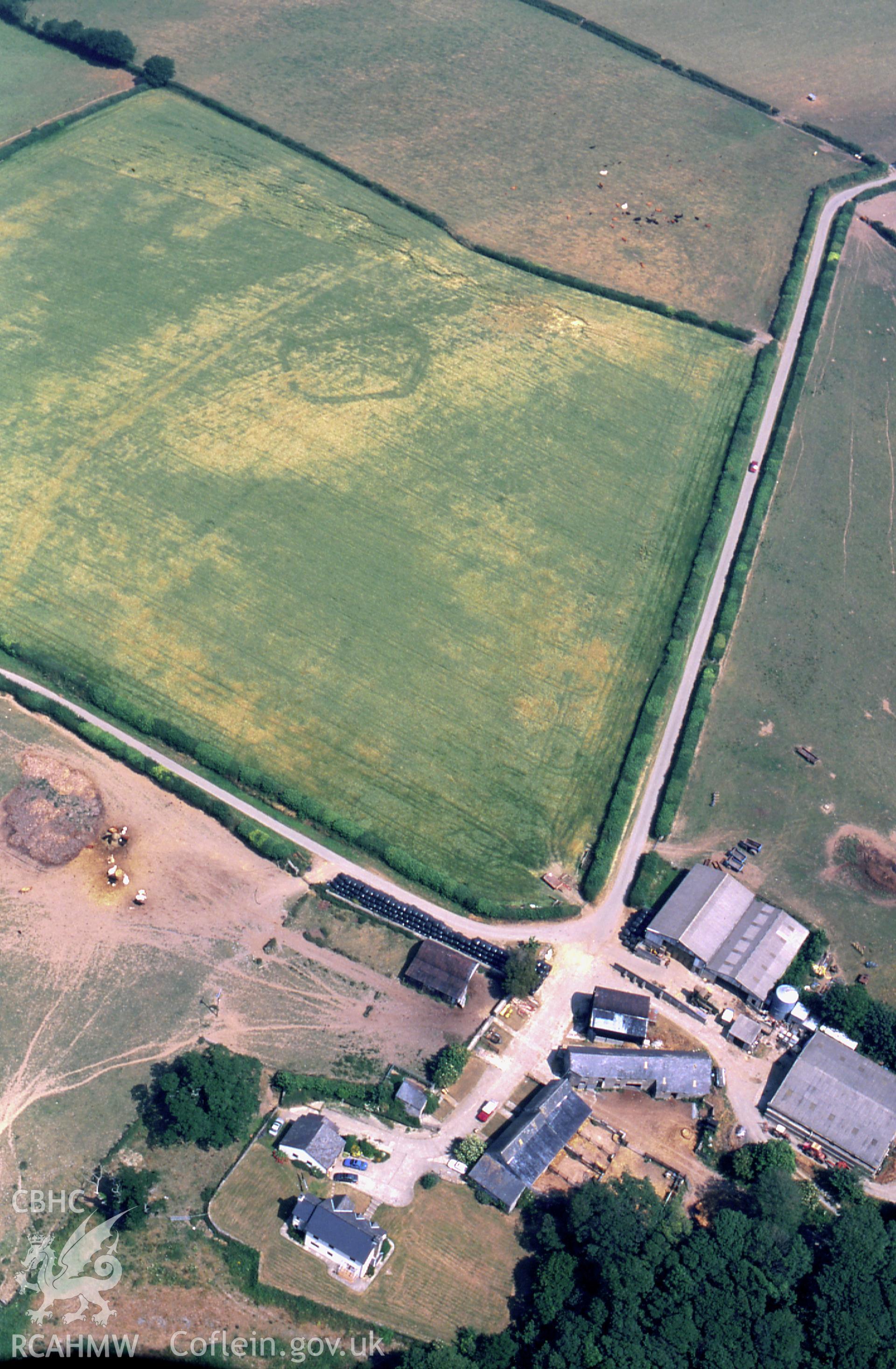 RCAHMW colour slide oblique aerial photograph of cropmark enclosure N of Penwernallt, Llangoedmor, taken by C.R.Musson on the 21/07/1996