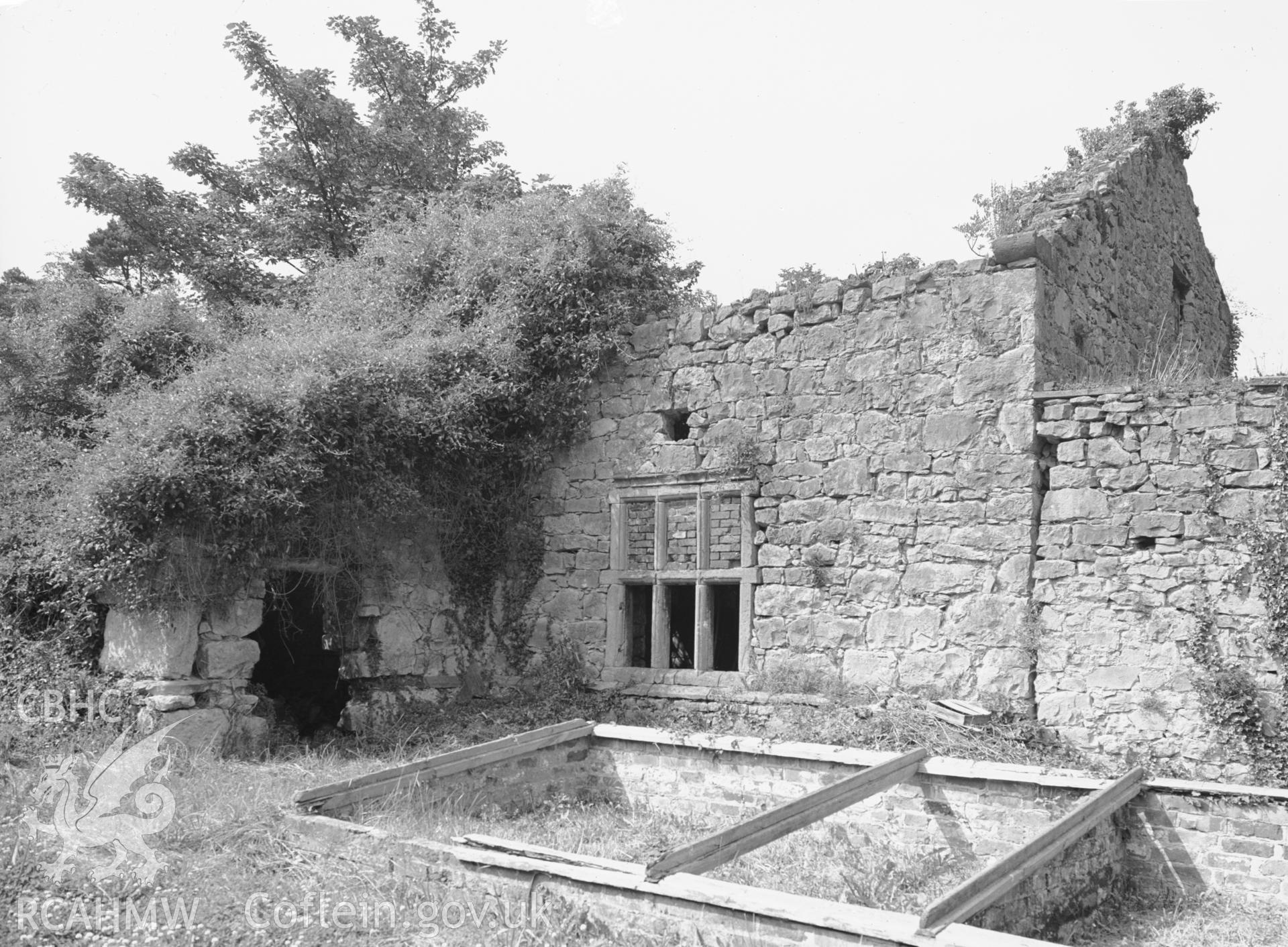 Old Kinmel - ruin in gardens