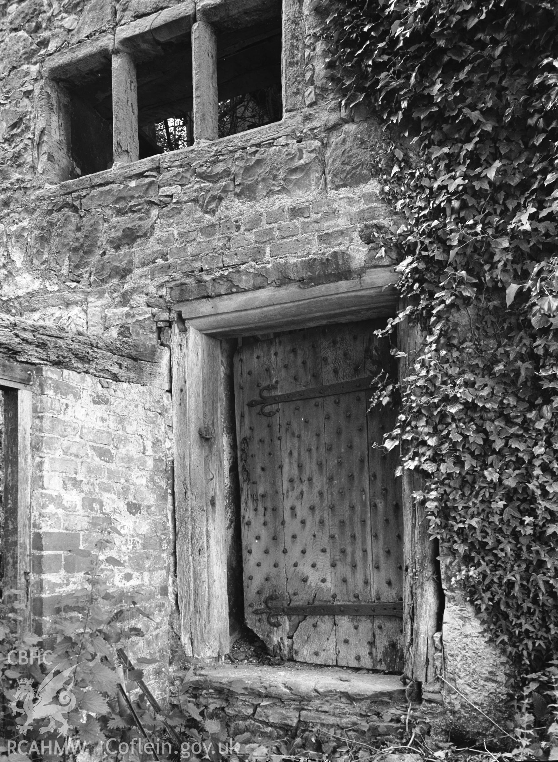 Detail of nailed door