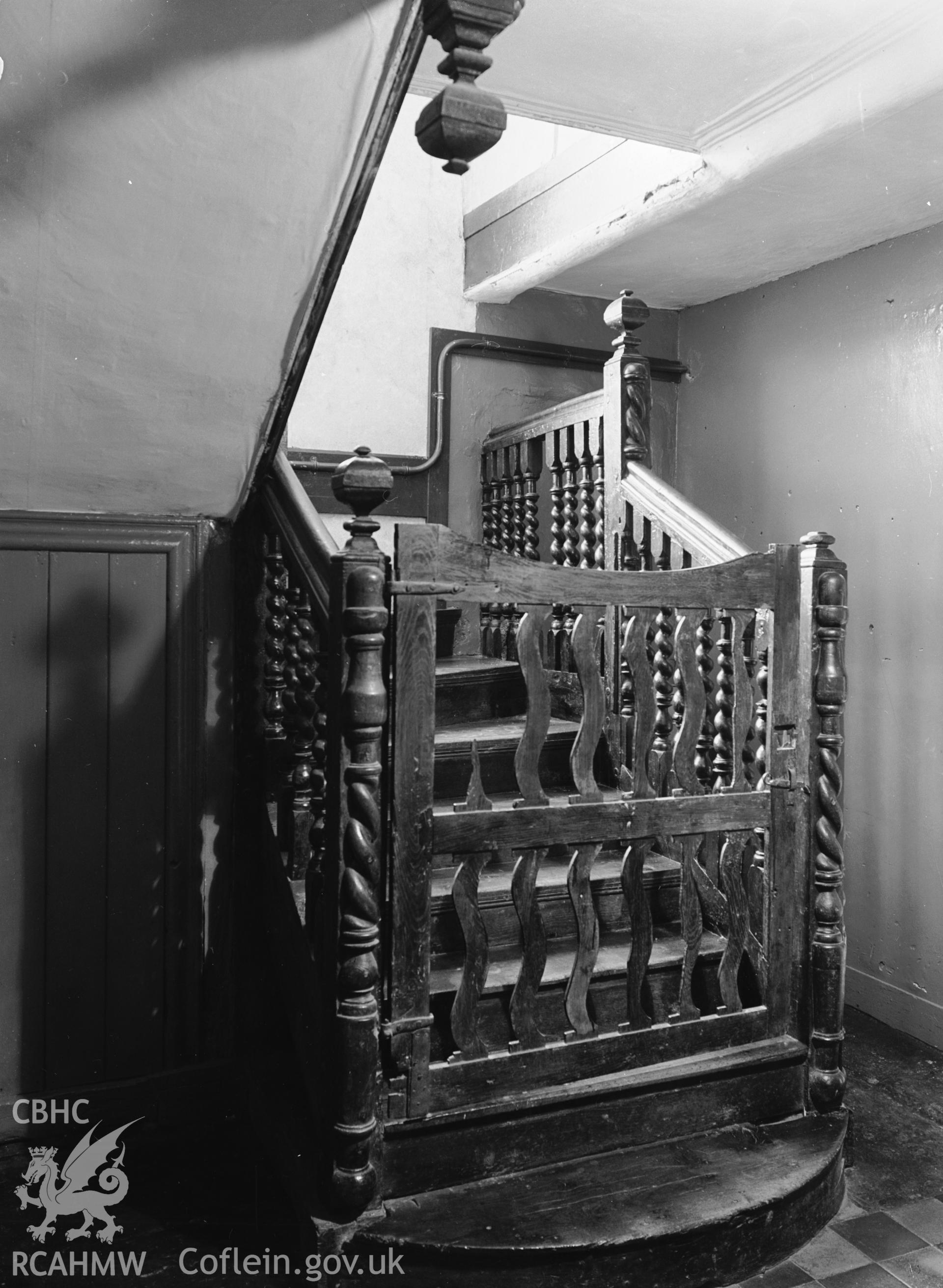 Staircase and dog gate