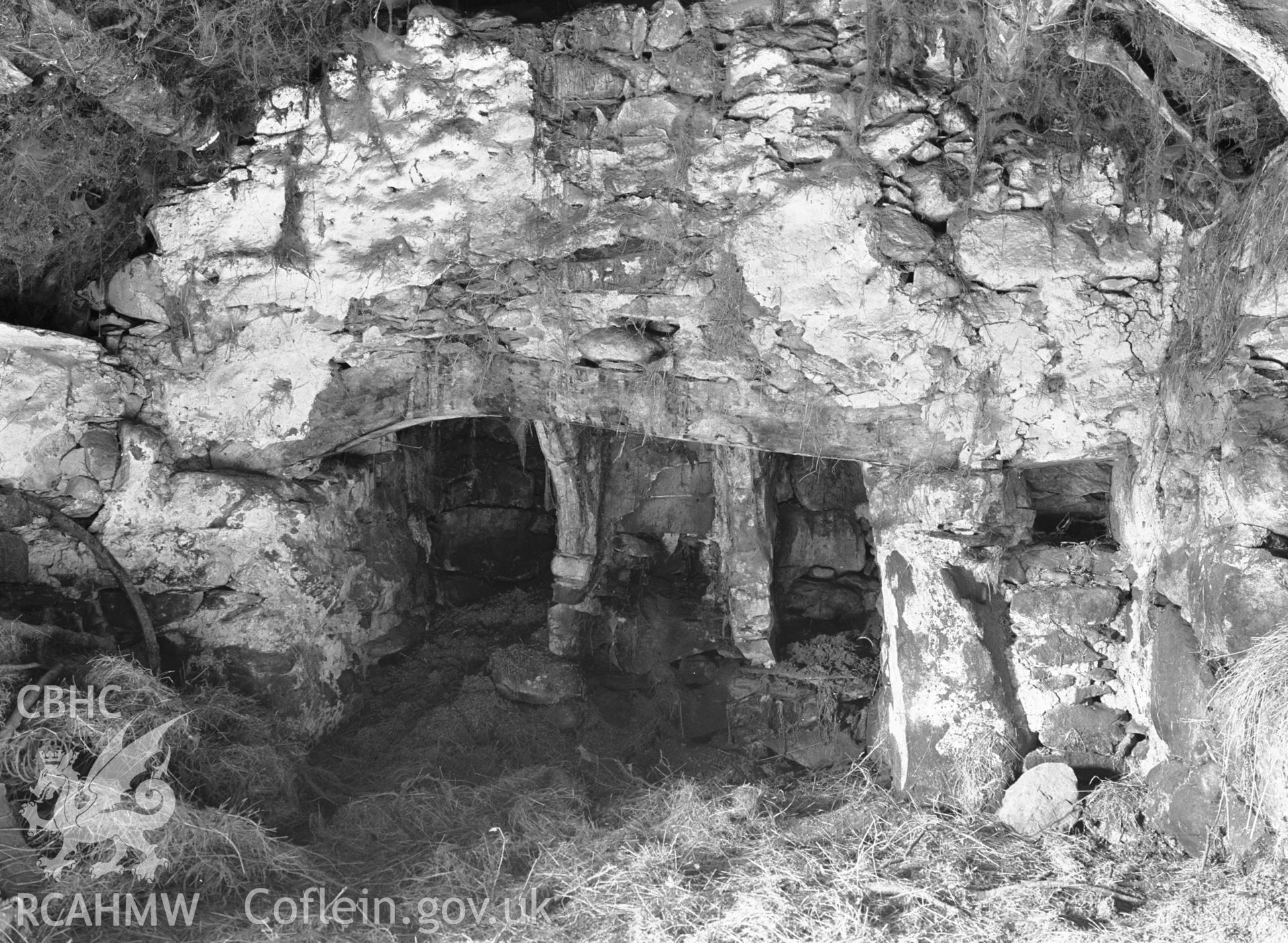 Interior view of building showing fireplace of clay-daubed timbers