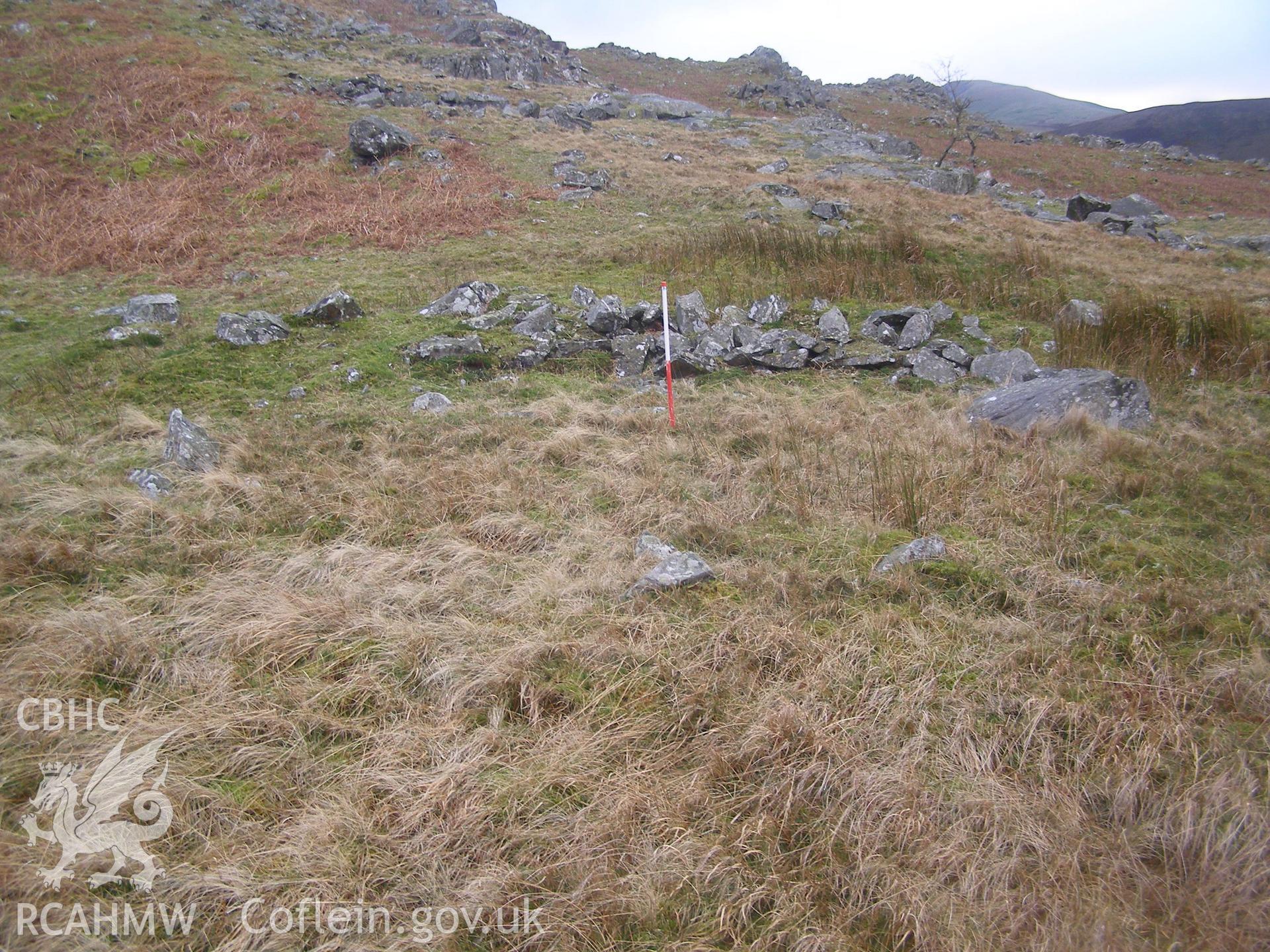 Digital colour photograph of Cader Ellyll hut circle II taken on 31/01/2008 by P.J. Schofield during the Snowdon North West Upland Survey undertaken by Oxford Archaeology North.