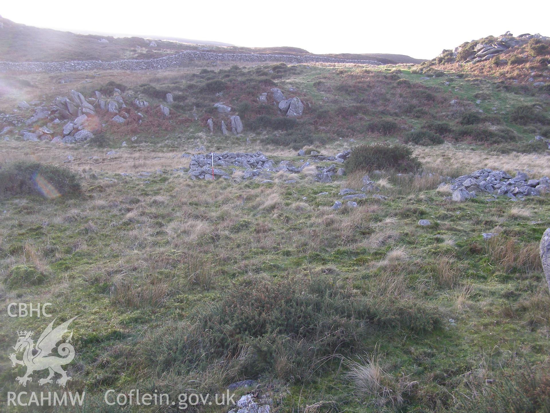 Digital colour photograph of Gallt y Celyn hut circle settlement taken on 13/12/2007 by P.J. Schofield during the Snowdon North West Upland Survey undertaken by Oxford Archaeology North.