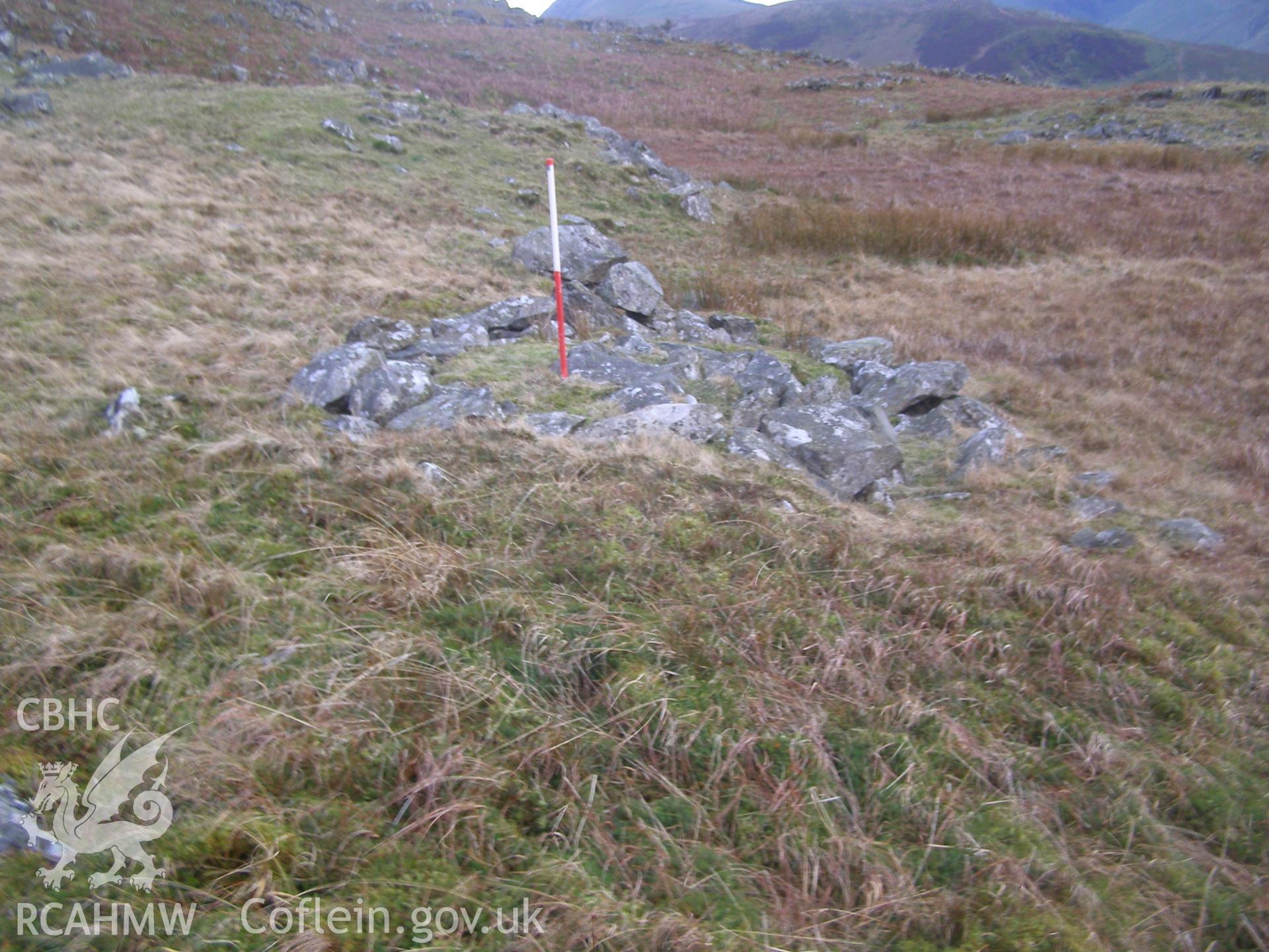 Digital colour photograph of Cader Ellyll hut circle III taken on 31/01/2008 by P.J. Schofield during the Snowdon North West Upland Survey undertaken by Oxford Archaeology North.