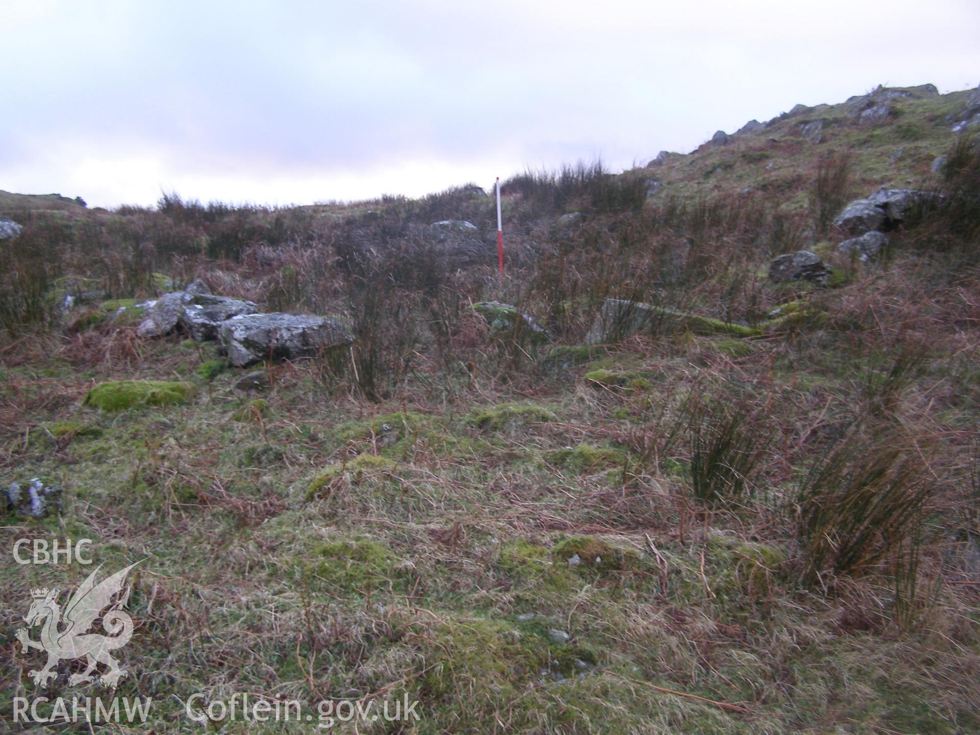 Digital colour photograph of Cader Ellyll hut circle IV taken on 31/01/2008 by P.J. Schofield during the Snowdon North West Upland Survey undertaken by Oxford Archaeology North.