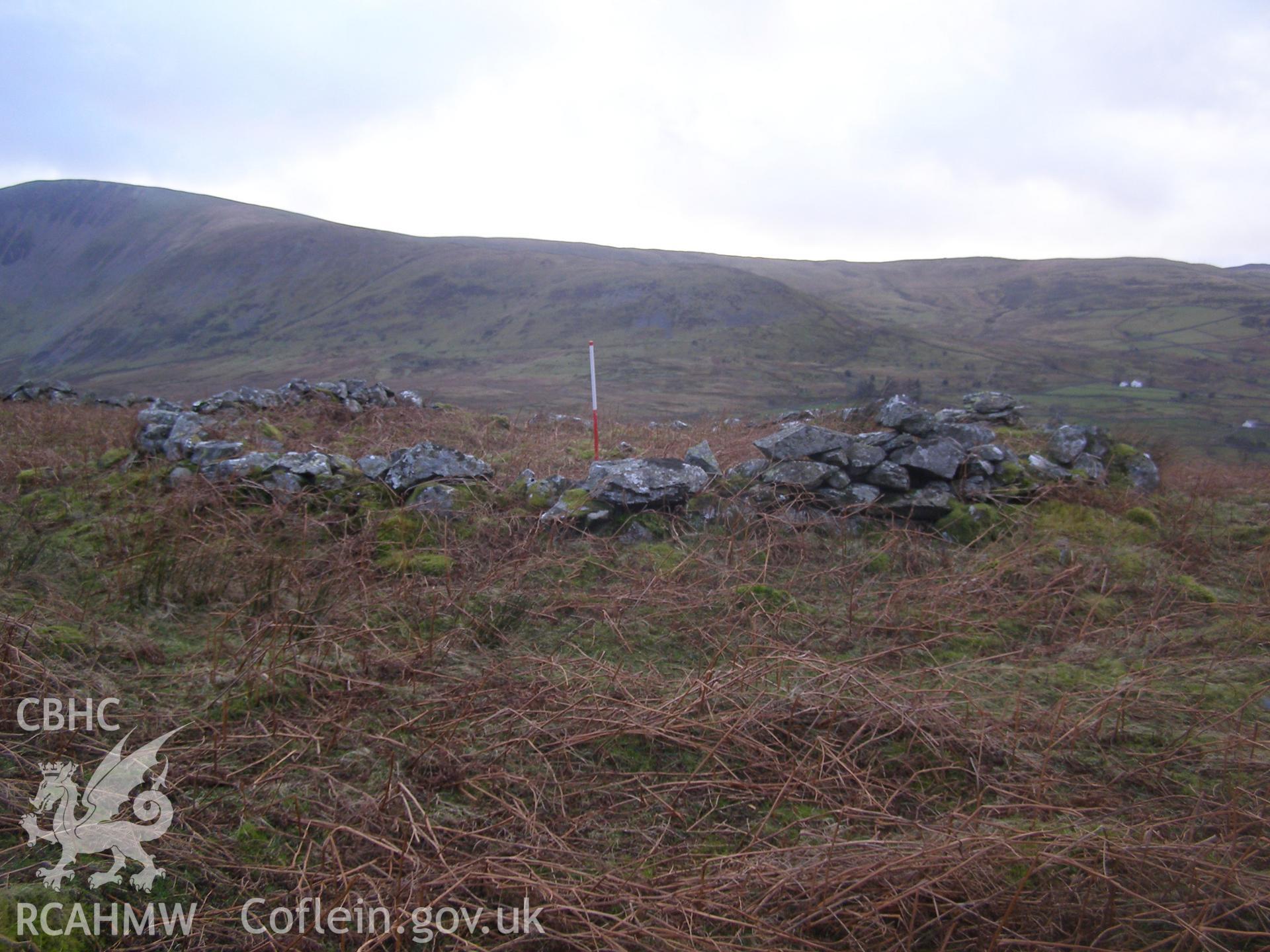 Digital colour photograph of Cader Ellyll hut circle IV taken on 31/01/2008 by P.J. Schofield during the Snowdon North West Upland Survey undertaken by Oxford Archaeology North.