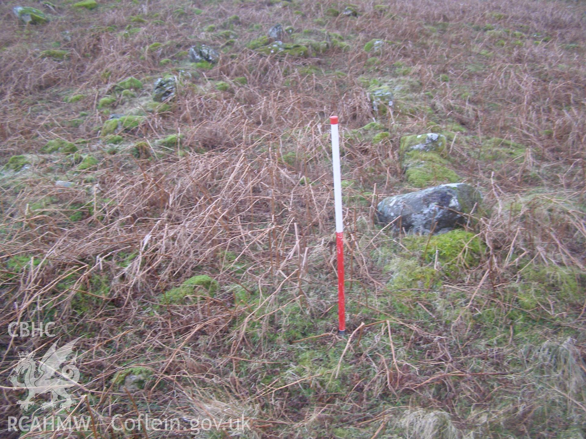 Digital colour photograph of Cader Ellyll house platform taken on 31/01/2008 by P.J. Schofield during the Snowdon North West Upland Survey undertaken by Oxford Archaeology North.