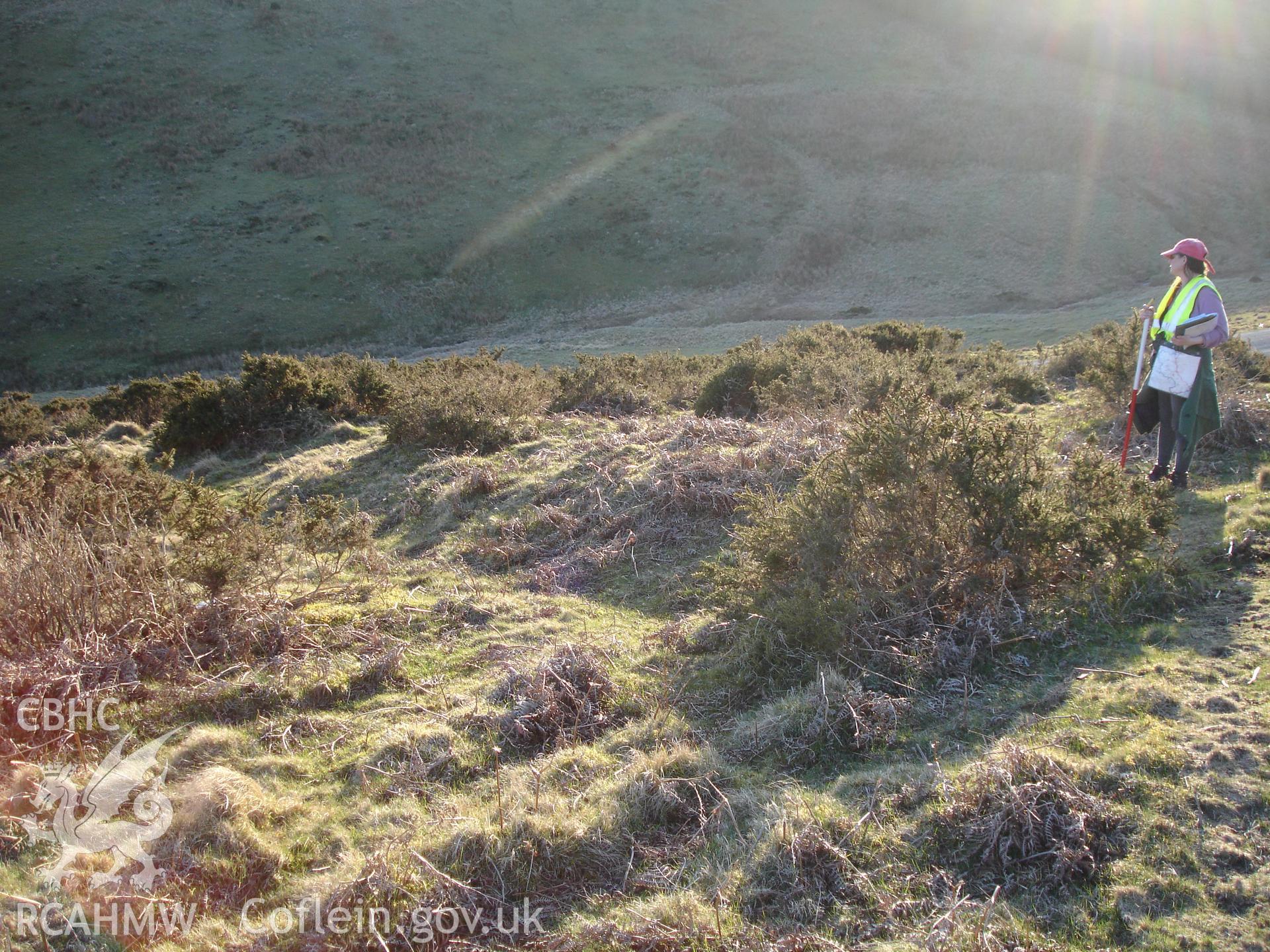 Digital colour photograph of The Warren pillow mound I taken on 03/04/2008 by R.P. Sambrook during the Sennybridge Dry Training Area Upland Survey undertaken by Trysor.