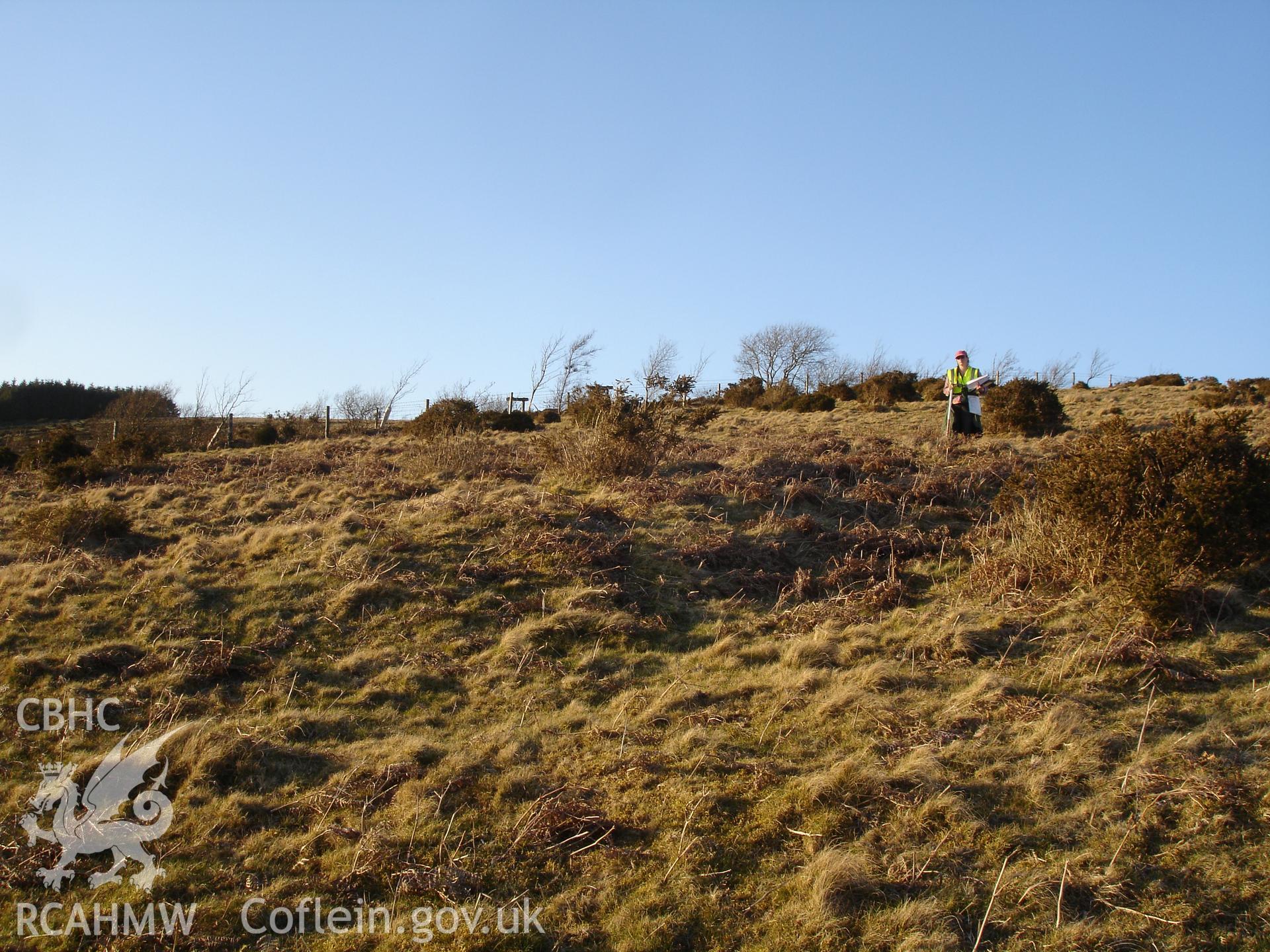 Digital colour photograph of The Warren pillow mound IX taken on 03/04/2008 by R.P. Sambrook during the Sennybridge Dry Training Area Upland Survey undertaken by Trysor.