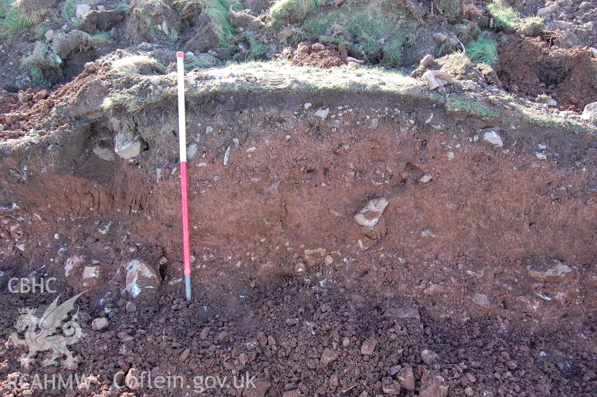 Digital photograph showing a section of mound 005 with 002 below.