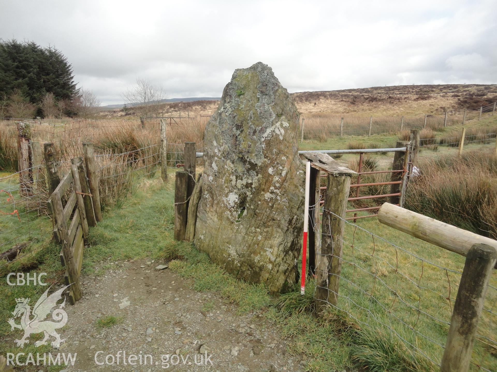 Standing stone, looking east