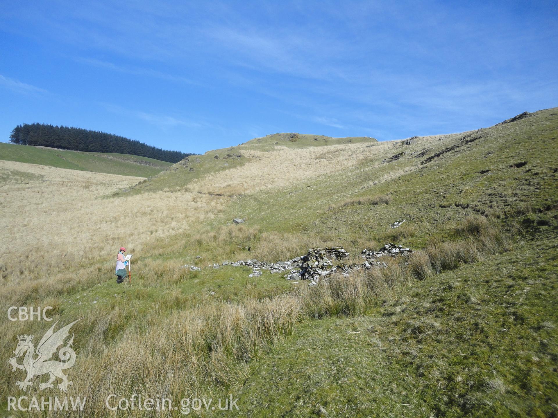 Sheep fold or long hut, looking northeast.