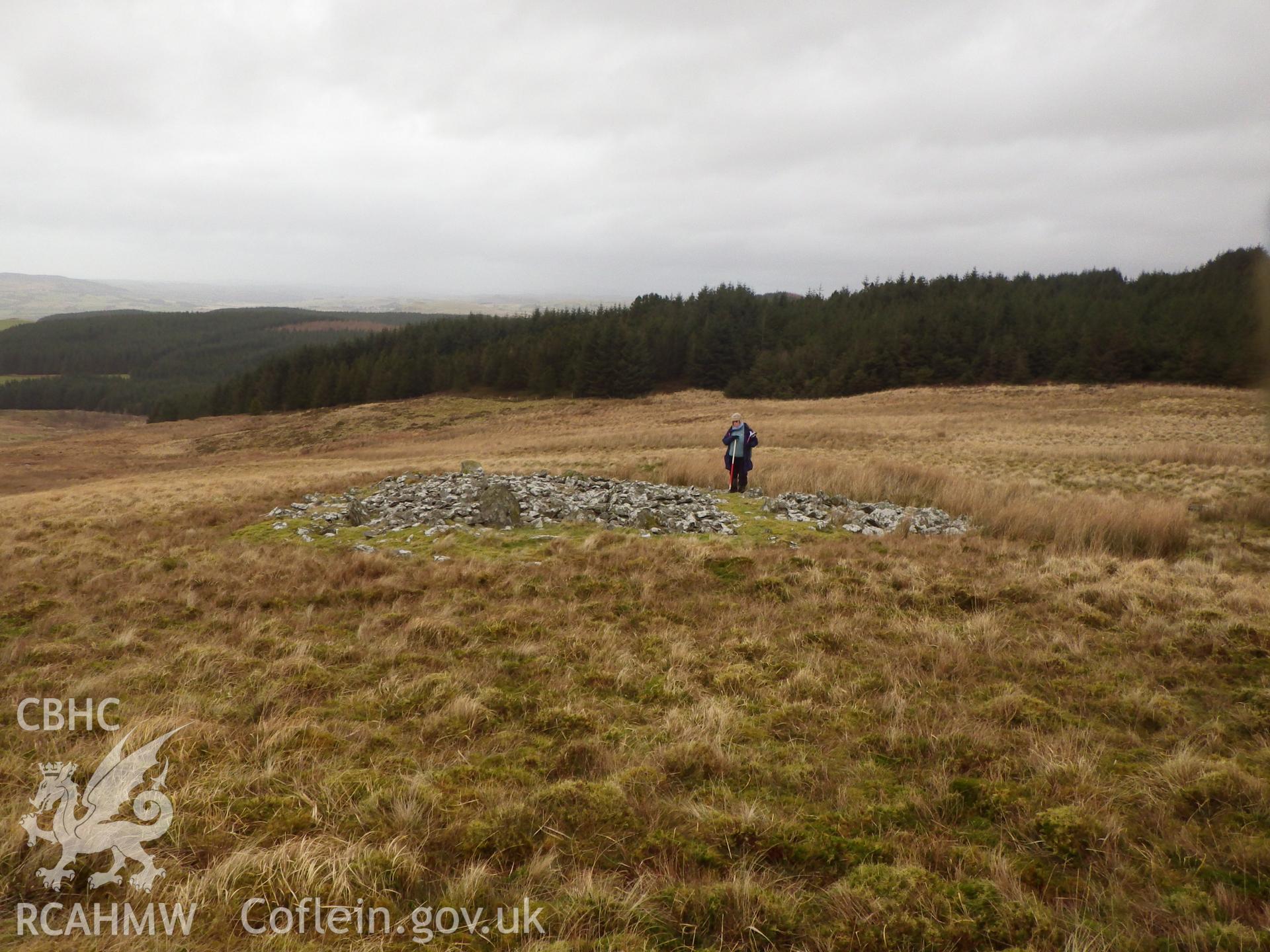 Stone cairn, on the northwest slope of Carn Fflur, showing the extension to the northeast and some of the upright stones, looking north.