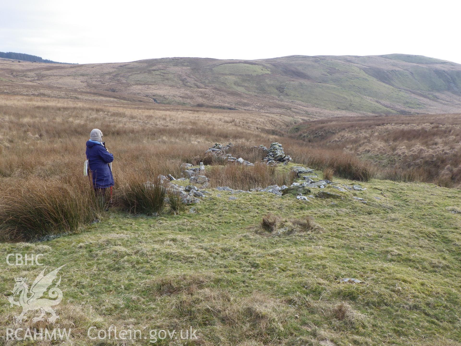 One of the longhouses, NPRN 529373, in Blaen Brefi, looking south.