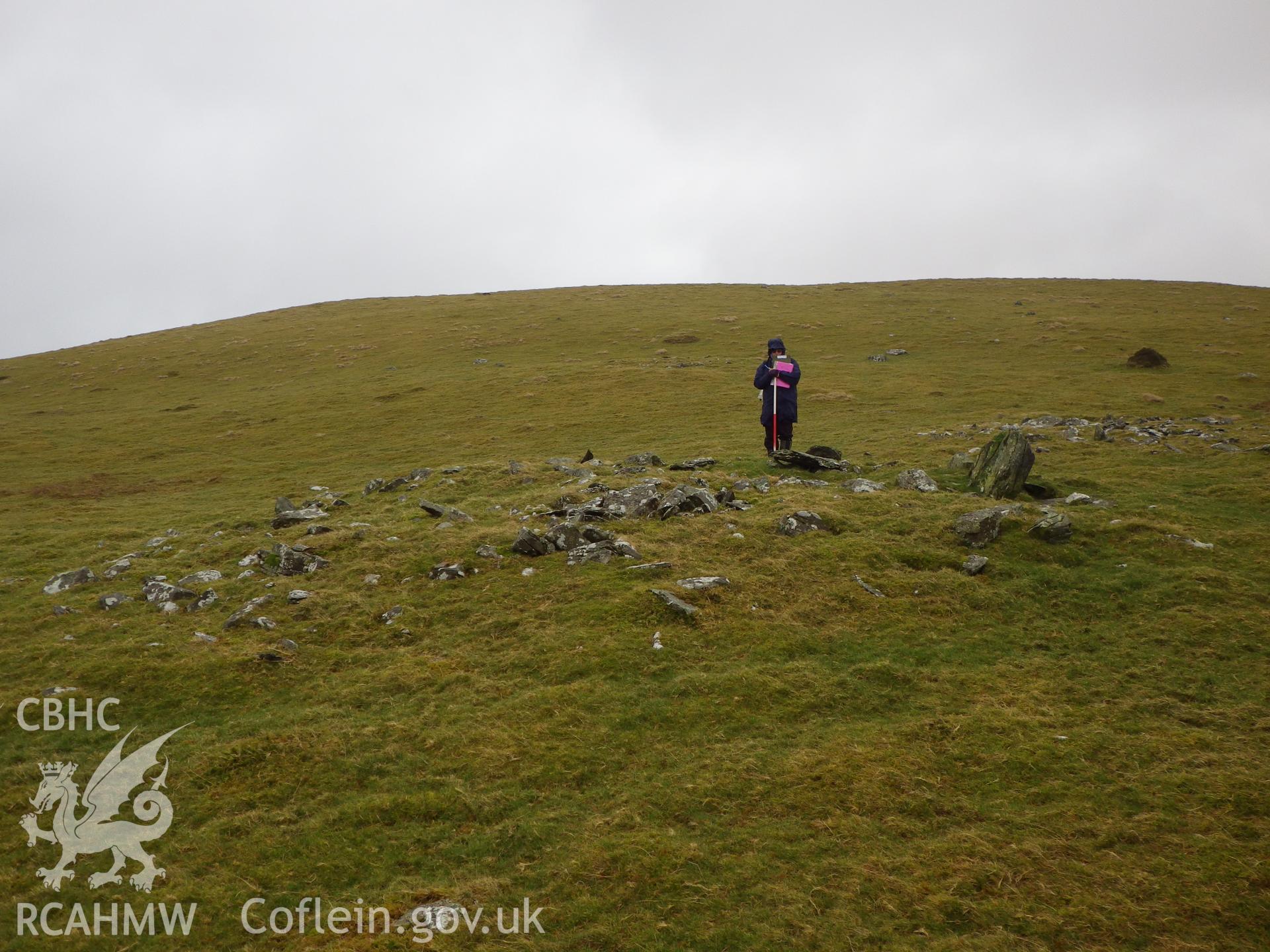 Low, grassed-over stone cairn, looking east, with the orthostatic stone clearly visible..