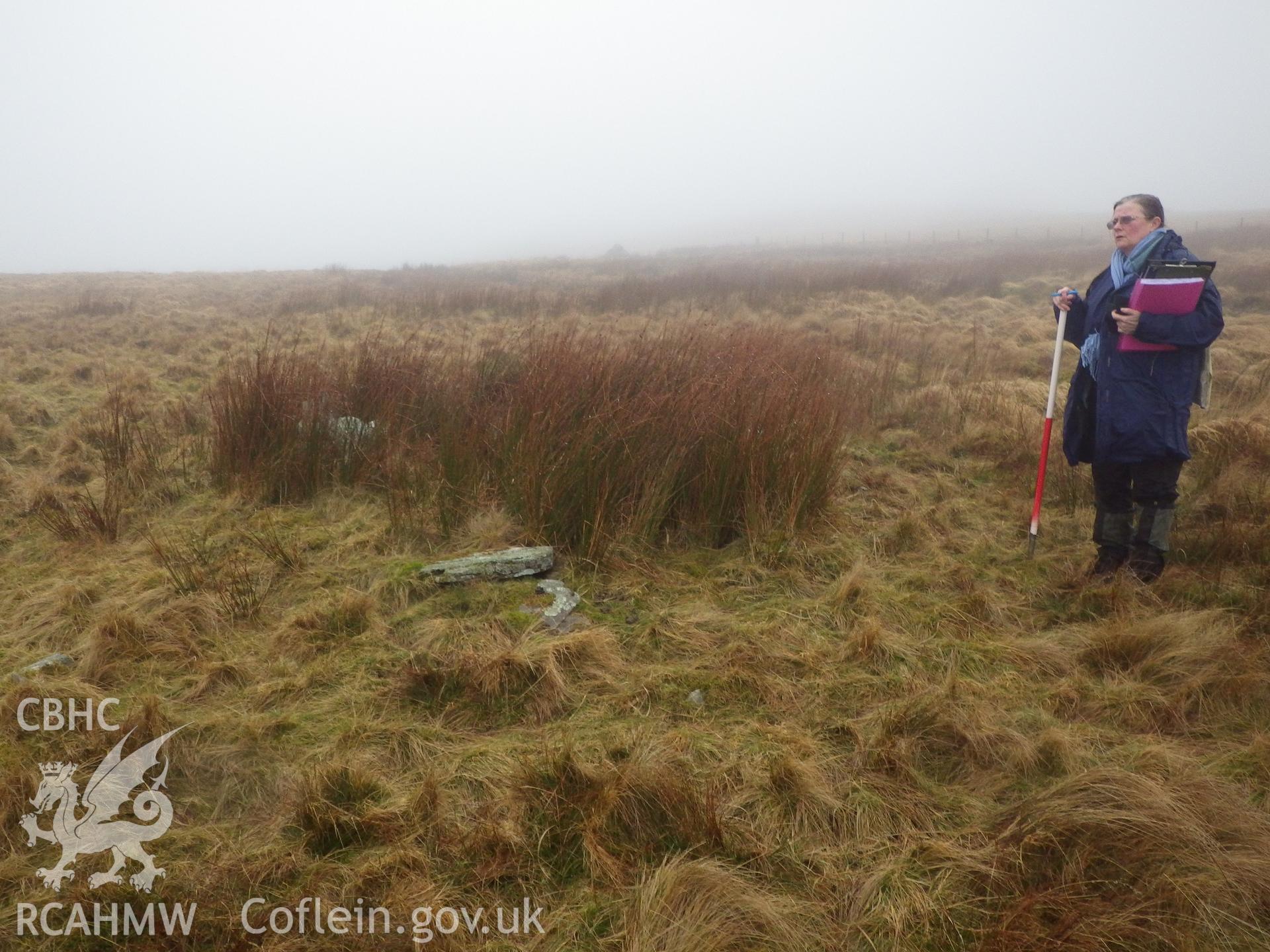 Cairn in reeds, looking north.