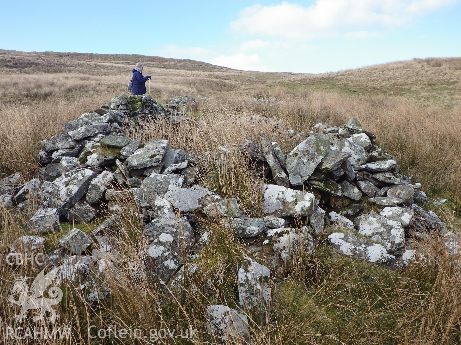 One of the longhouses, NPRN 529373, in Blaen Brefi, looking north.