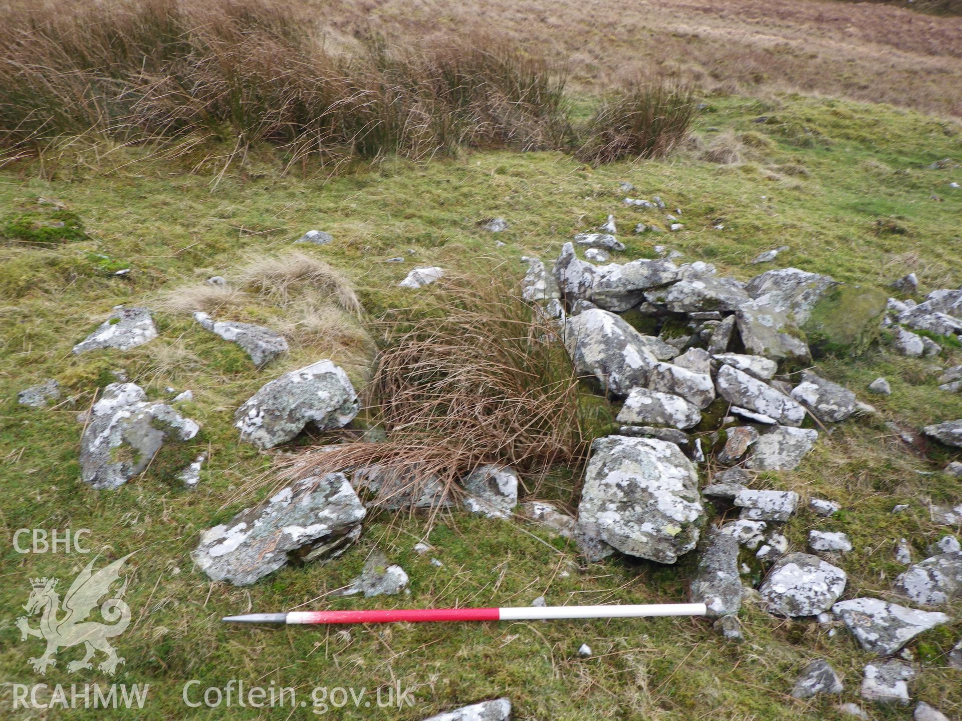 Cist in cairn, looking south southwest.