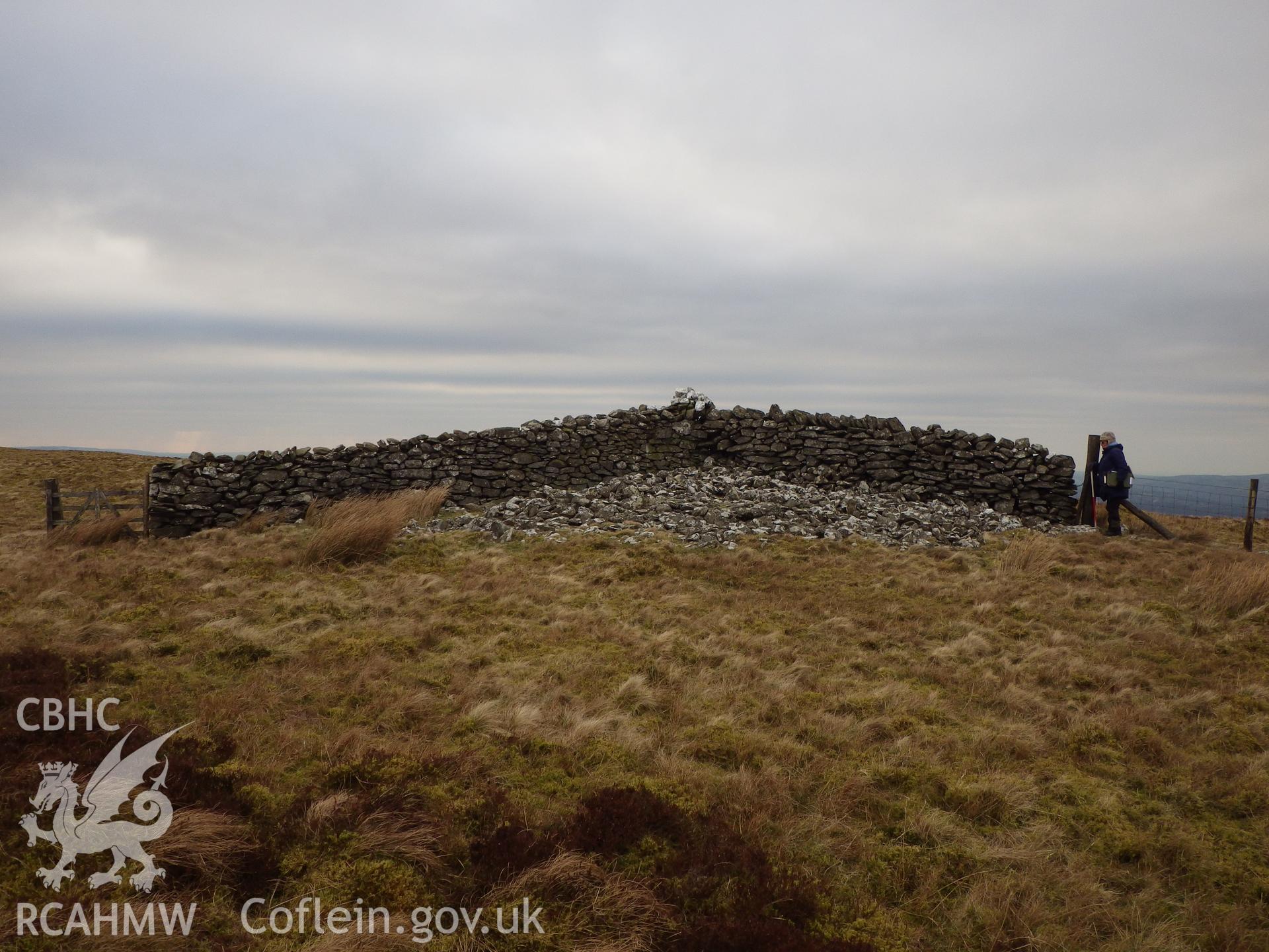 The cairn on Bryn Rhudd with boundary wall running across it, looking west southwest.