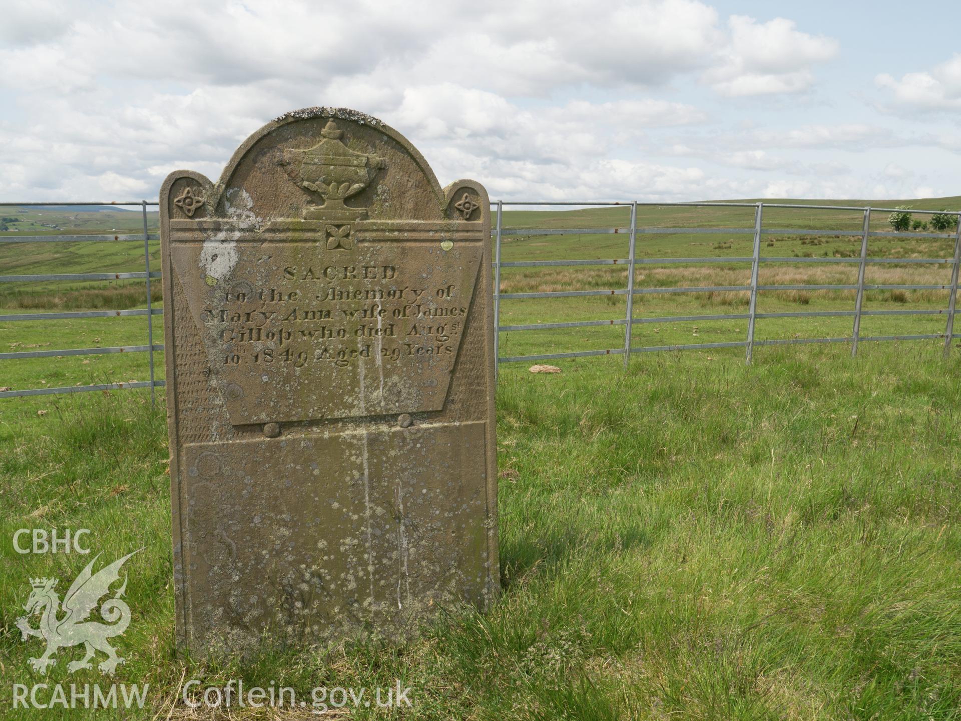 grave of Mary Ann Gillop.