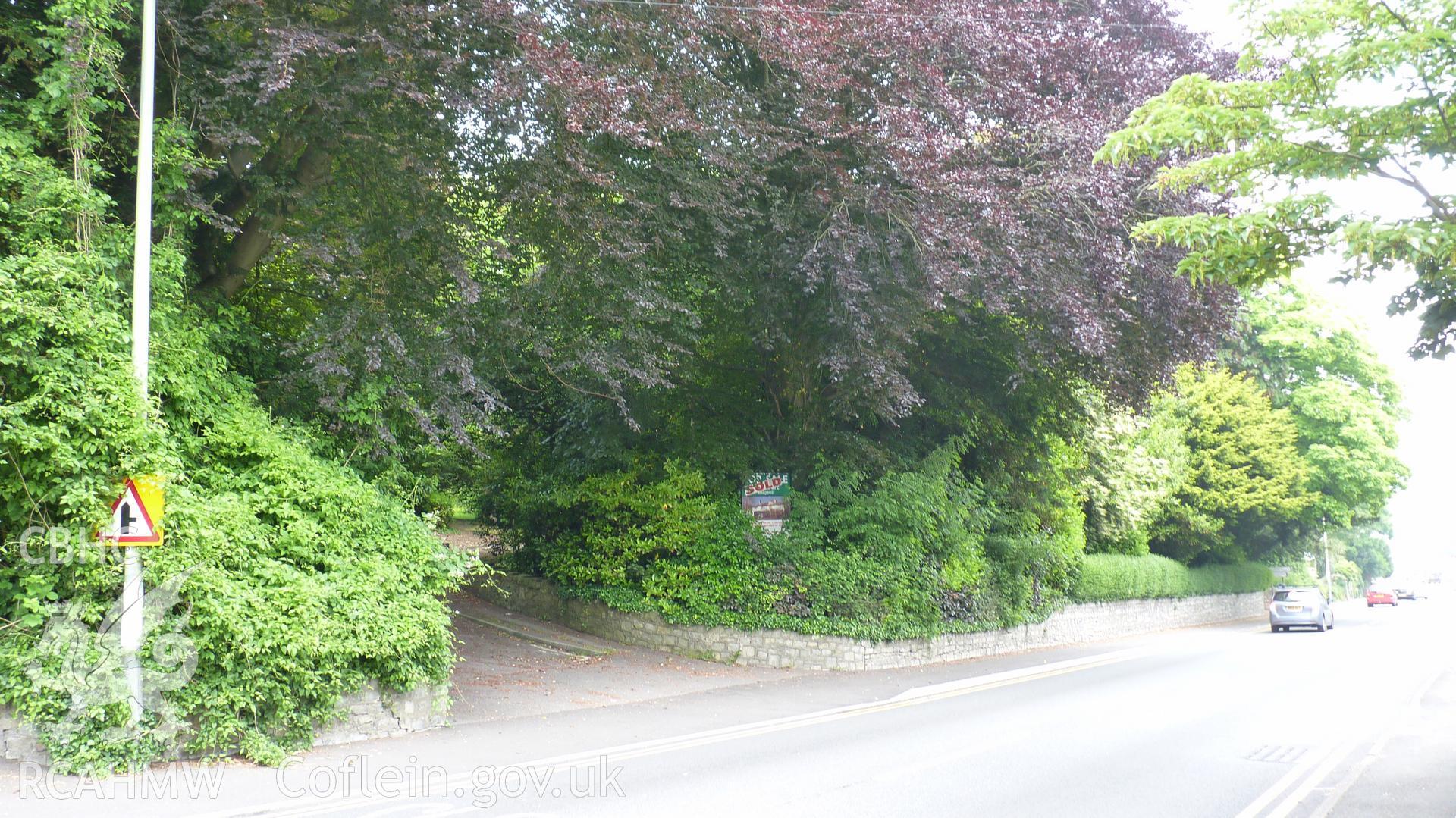 'View northeast of driveway entrance from Park Street, also showing thick tree cover along Park Street.' Photographed as part of archaeological work at Coed Parc, Newcastle, Bridgend, carried out by Archaeology Wales, 2016. Project no. P2432.