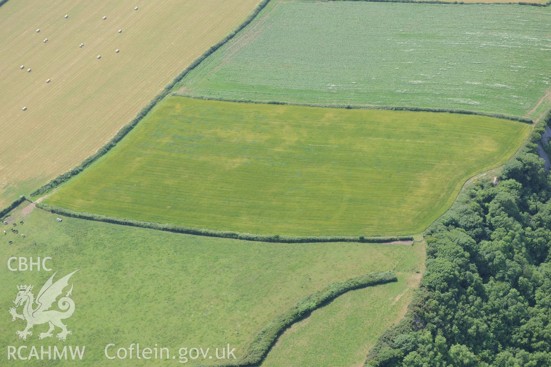 Bovehill Farm defended enclosure and Tor-Gro suggested enclosure, east of Cheriton, on the Gower Peninsula. Oblique aerial photograph taken during the Royal Commission?s programme of archaeological aerial reconnaissance by Toby Driver on 16th July 2013.