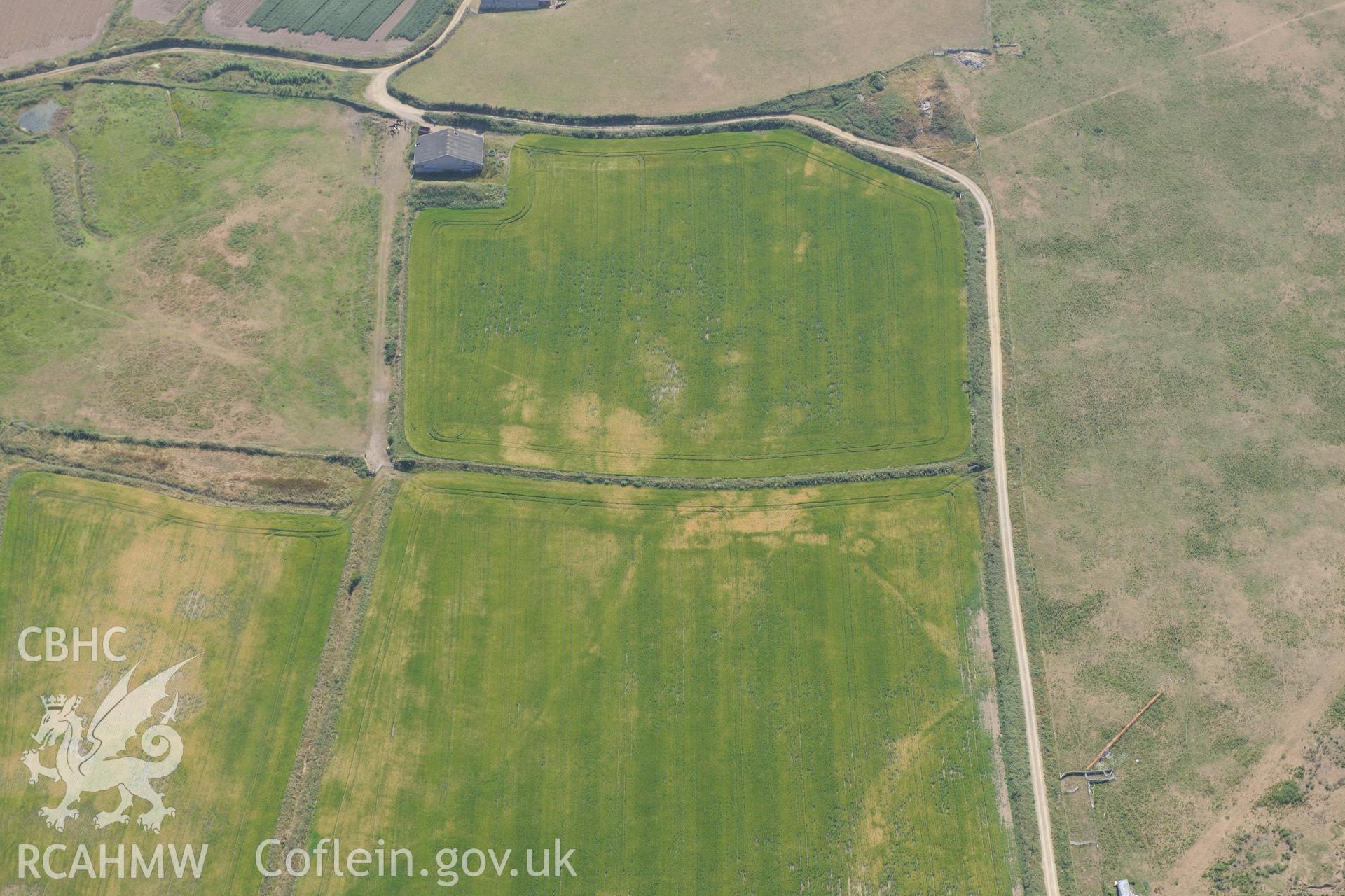 Parchmarks of possible township at Croes Phillip, St Davids. Oblique aerial photograph taken during the Royal Commission?s programme of archaeological aerial reconnaissance by Toby Driver on 16th July 2013.