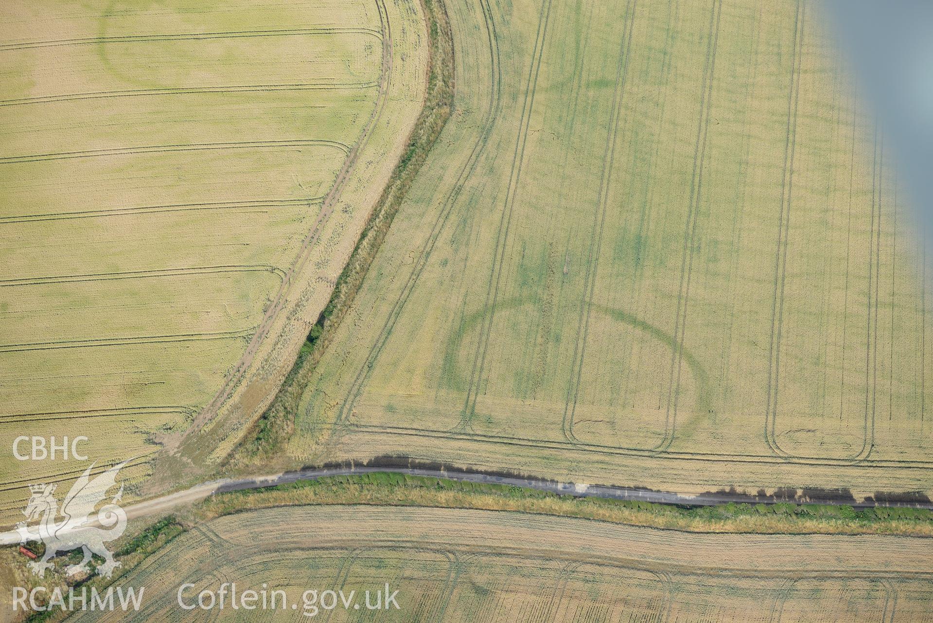 Royal Commission aerial photography of Paviland Manor cropmark complex, south-west circular enclosure, taken on 17th July 2018 during the 2018 drought.