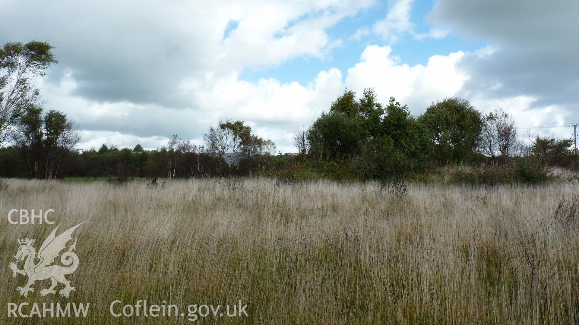 View northeast past the northern edge of Carn Goch (tree/scrub to right of shot). Photographed during Setting Impact Assessment of Land off Phoenix Way, Garngoch Business Village, Swansea, carried out by Archaeology Wales, 2018. Project number P2631.