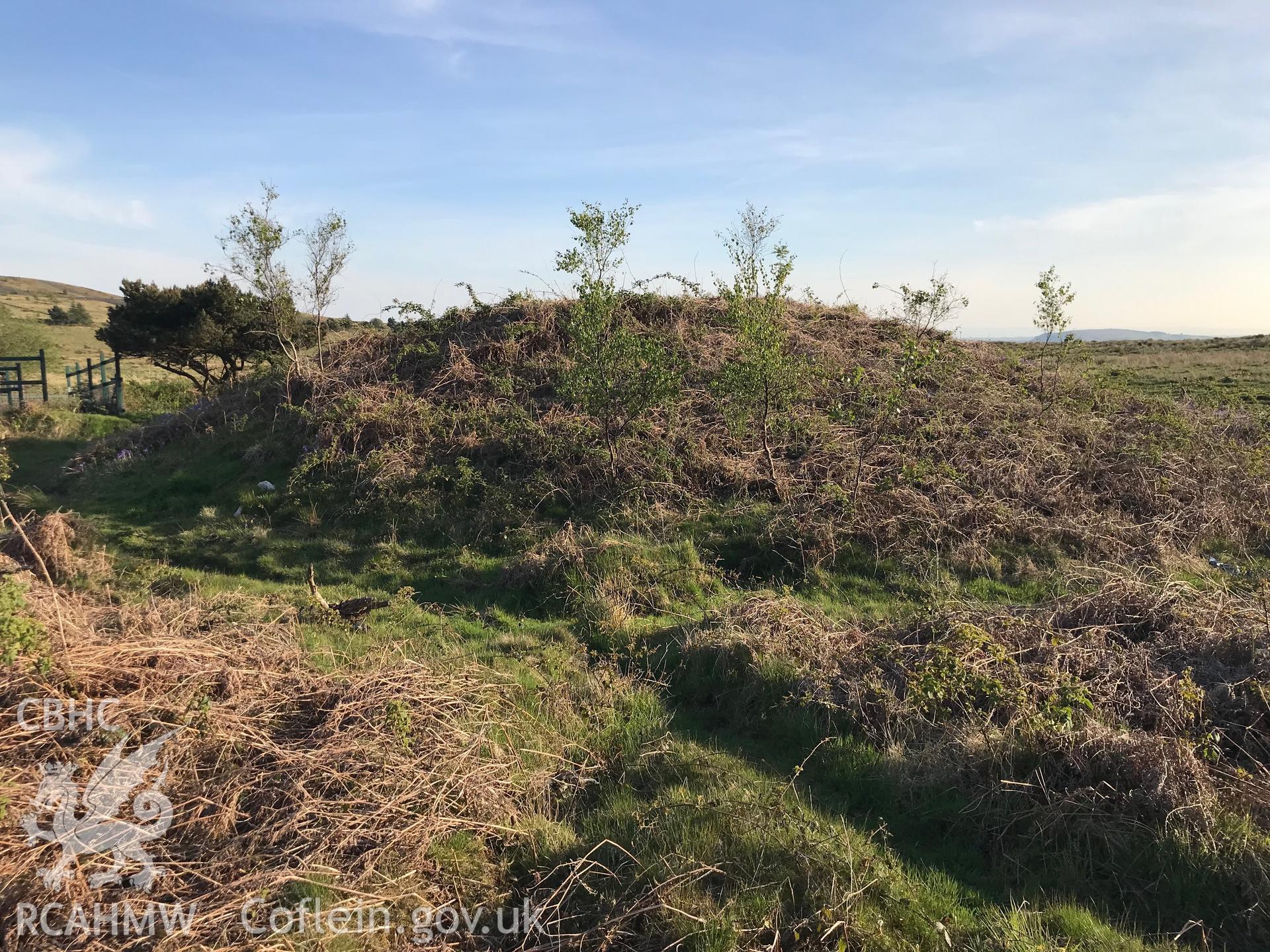 Digital colour photograph of Twyn Cae-Hugh Round Barrow, Mynydd y Grug, Cwmfelinfach, taken by Paul R. Davis on 13th May 2019.