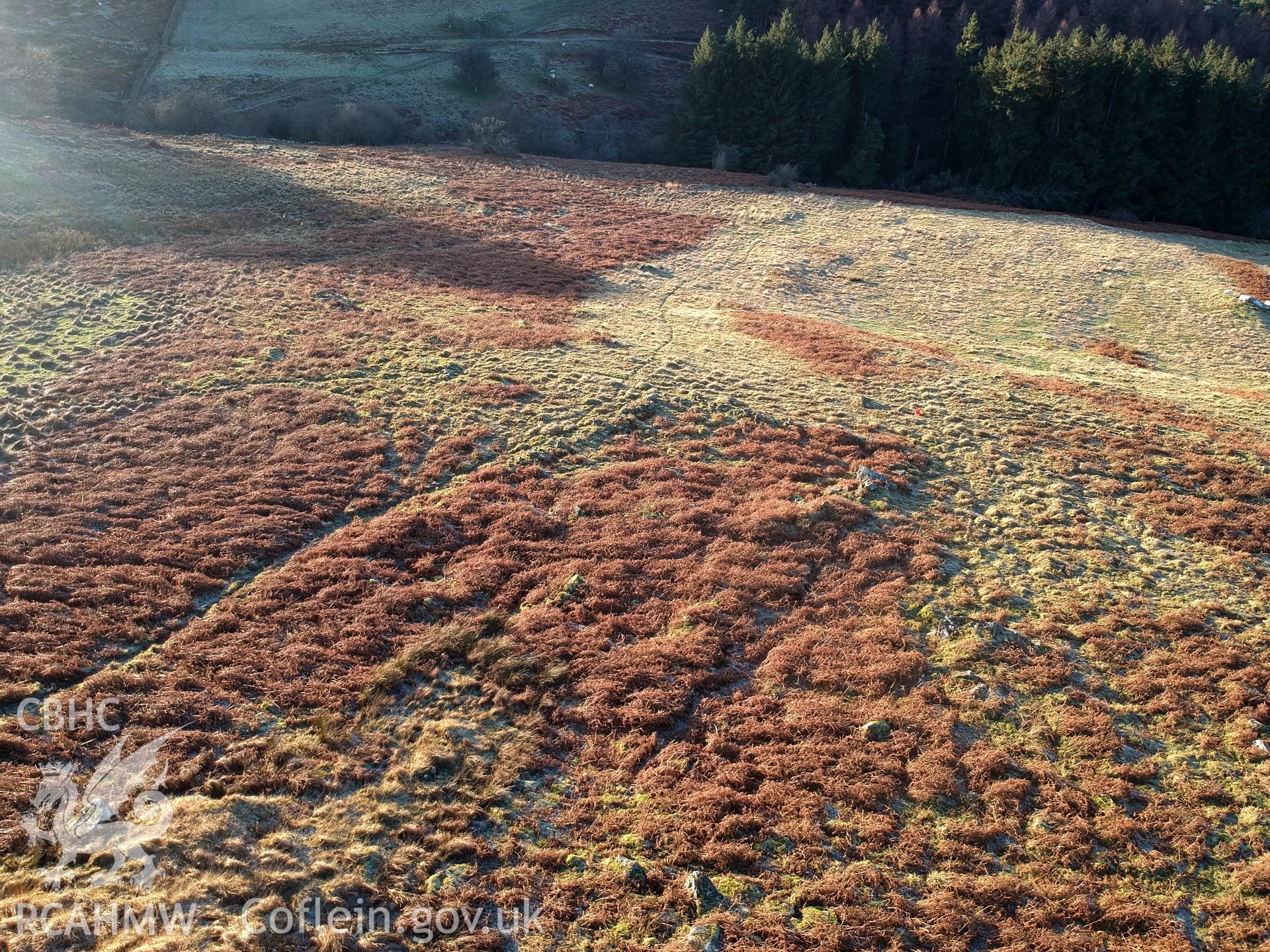 Aerial view of the Ffridd Camen Hafodydd, Llandrillo. Colour photograph taken by Paul R. Davis on 2nd January 2019.