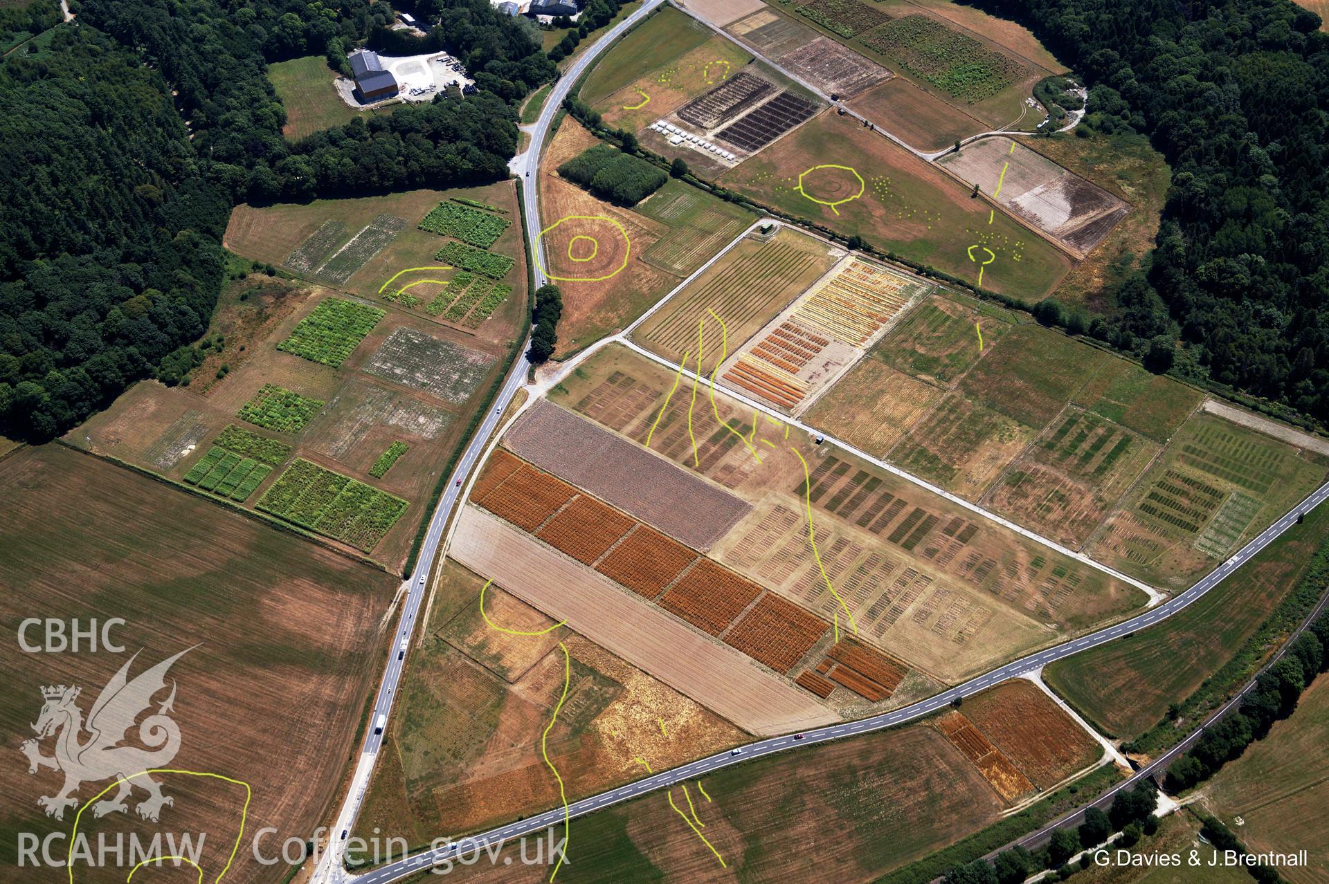 Aerial photograph of Gogerddan enclosure & nearby cropmarks, taken by Glyn Davies & Jonathan Brentnall on 22/07/2018 under drought conditions. This photograph has been modified & some archaeological features highlighted. Original photograph: BDC_02_04_04