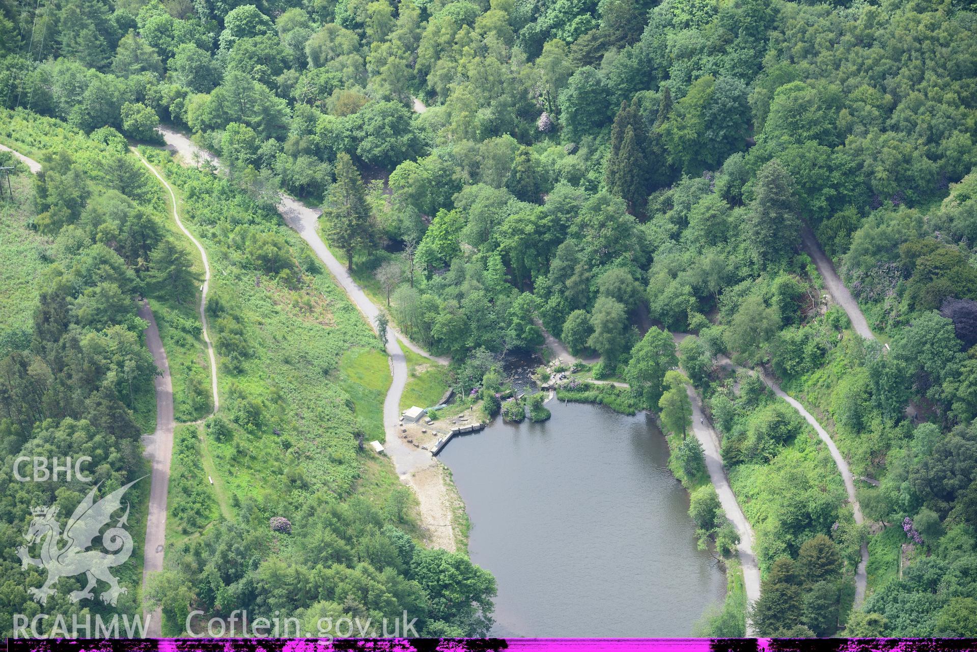 Fish Ponds at Penllergaer Park, Swansea. Oblique aerial photograph taken during the Royal Commission's programme of archaeological aerial reconnaissance by Toby Driver on 19th June 2015.