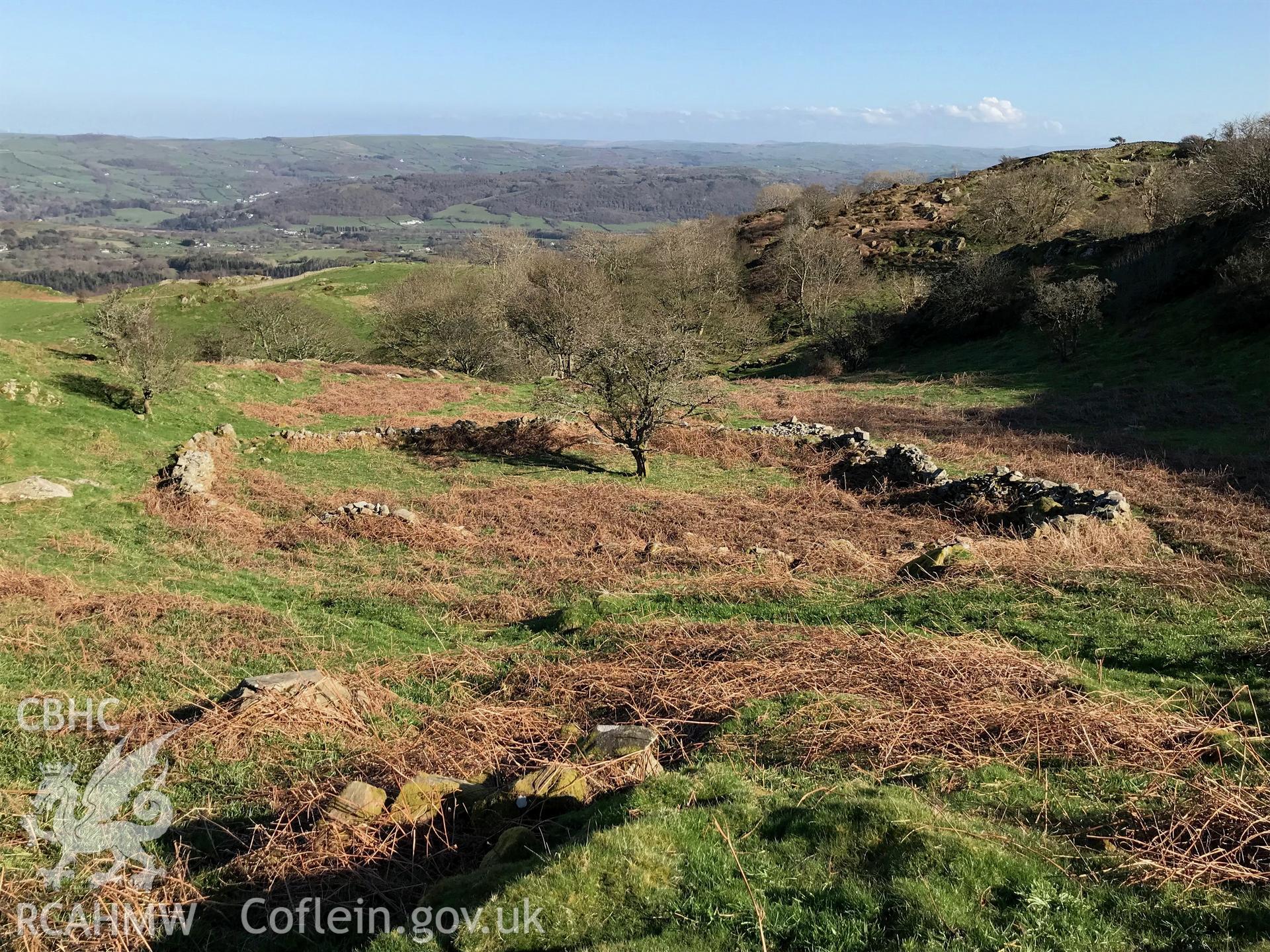 Colour photo showing view of Cae Iol, Llangelynin, taken by Paul R. Davis, 2018.