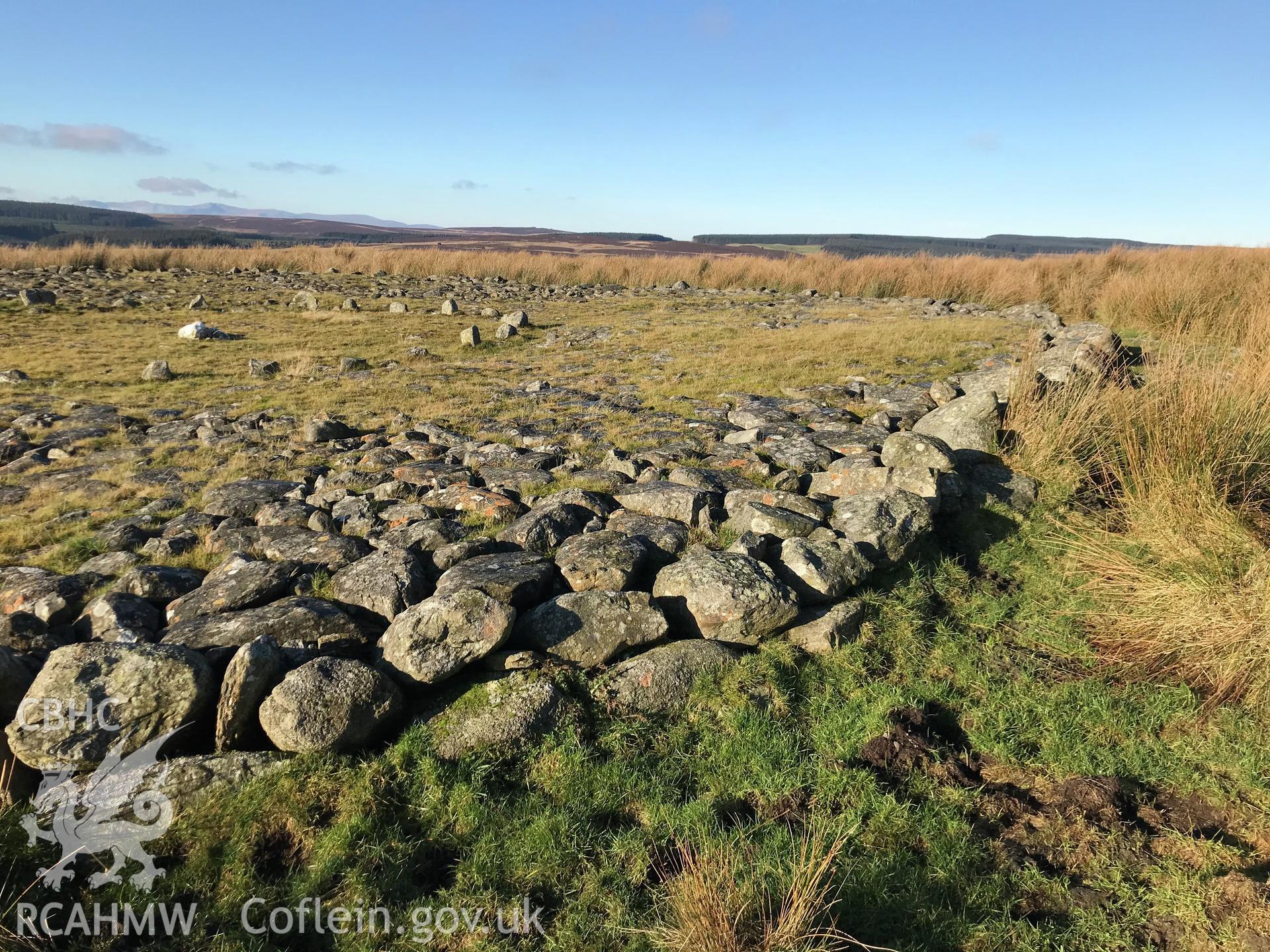 Digital colour photograph showing detail of stone ring at Brening 51 platform/burial cairn, Llanrhaeadr-yng-Nghinmeirch, taken by Paul Davis on 3rd December 2019.