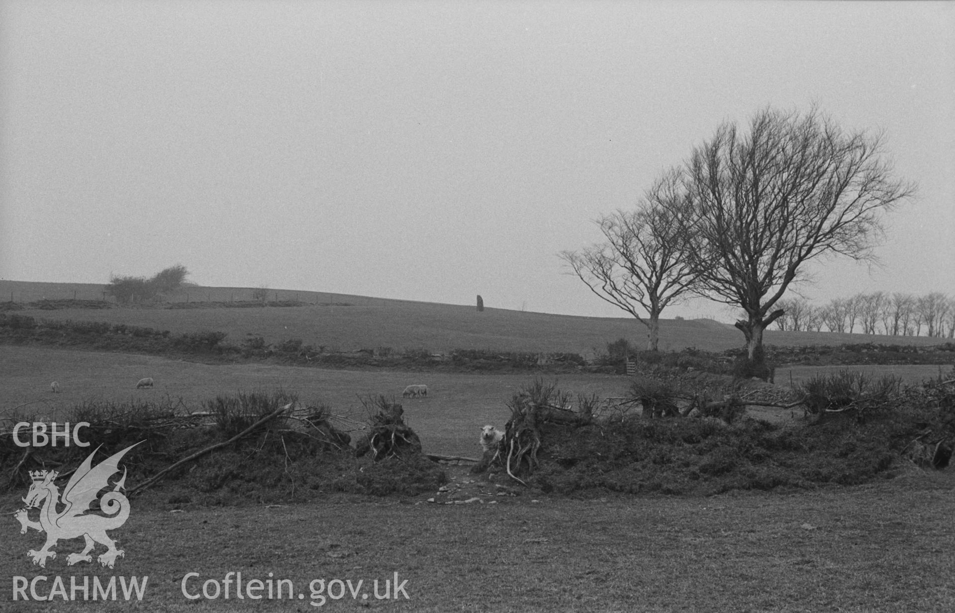 Digital copy of a black and white negative showing view of Carreg Hirfaen, Llanycrwys. Photographed in April 1963 by Arthur Chater from halfway across the fields to Esgair-Goch farm (Grid Reference SN 6255 4629), looking north north west.