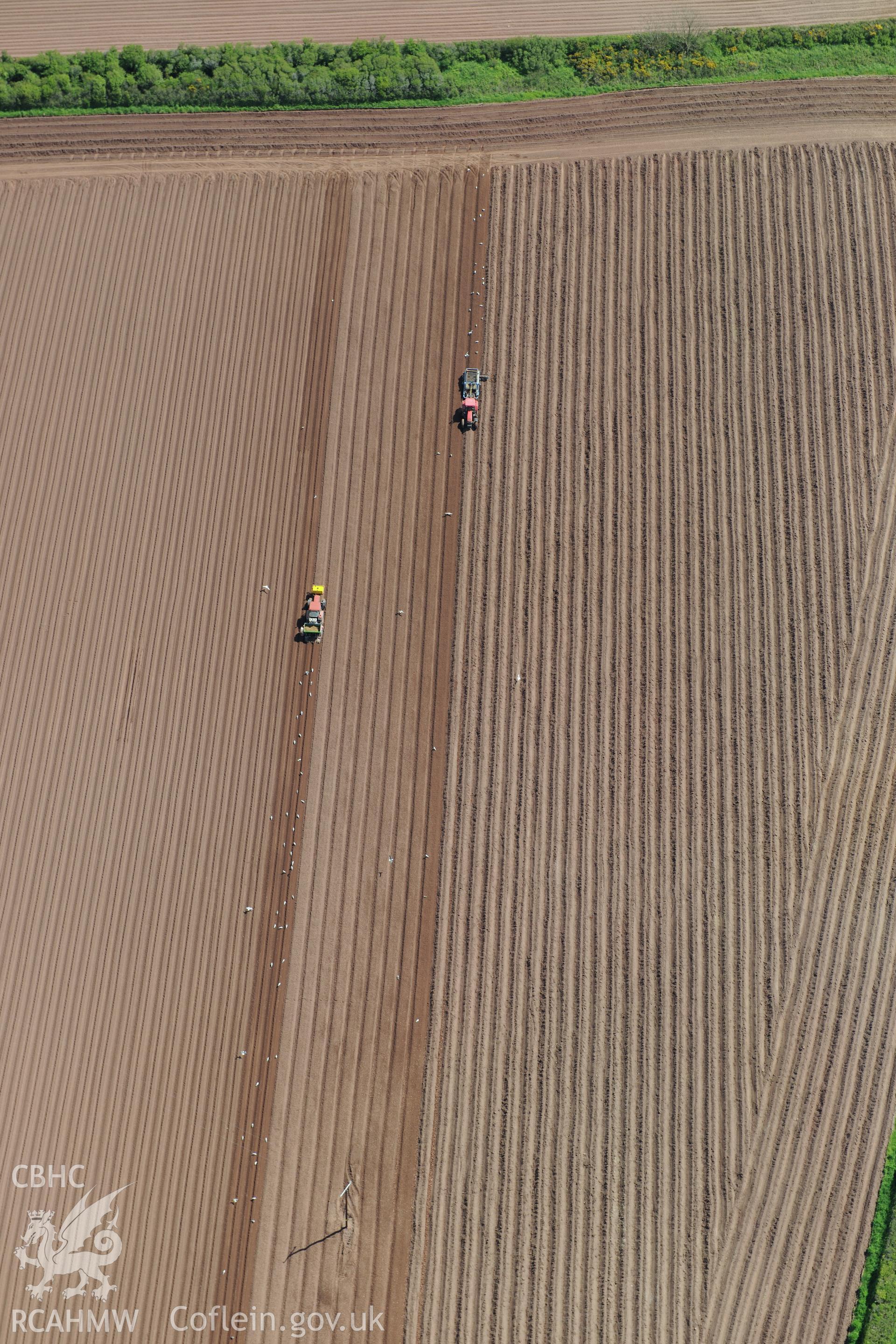 Ploughing in a field near St. Ishmael's. Oblique aerial photograph taken during the Royal Commission's programme of archaeological aerial reconnaissance by Toby Driver on 13th May 2015.