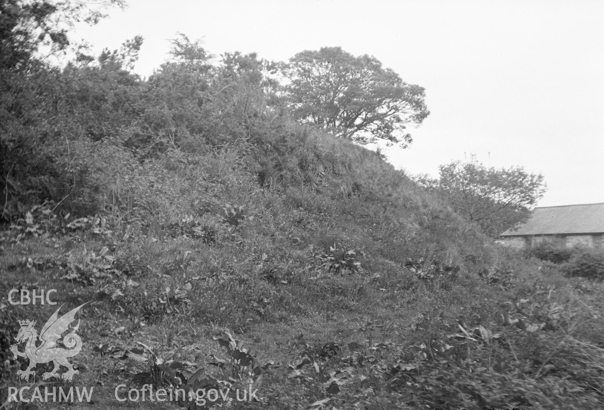 Digital copy of a nitrate negative showing Llanfyrnach Motte.