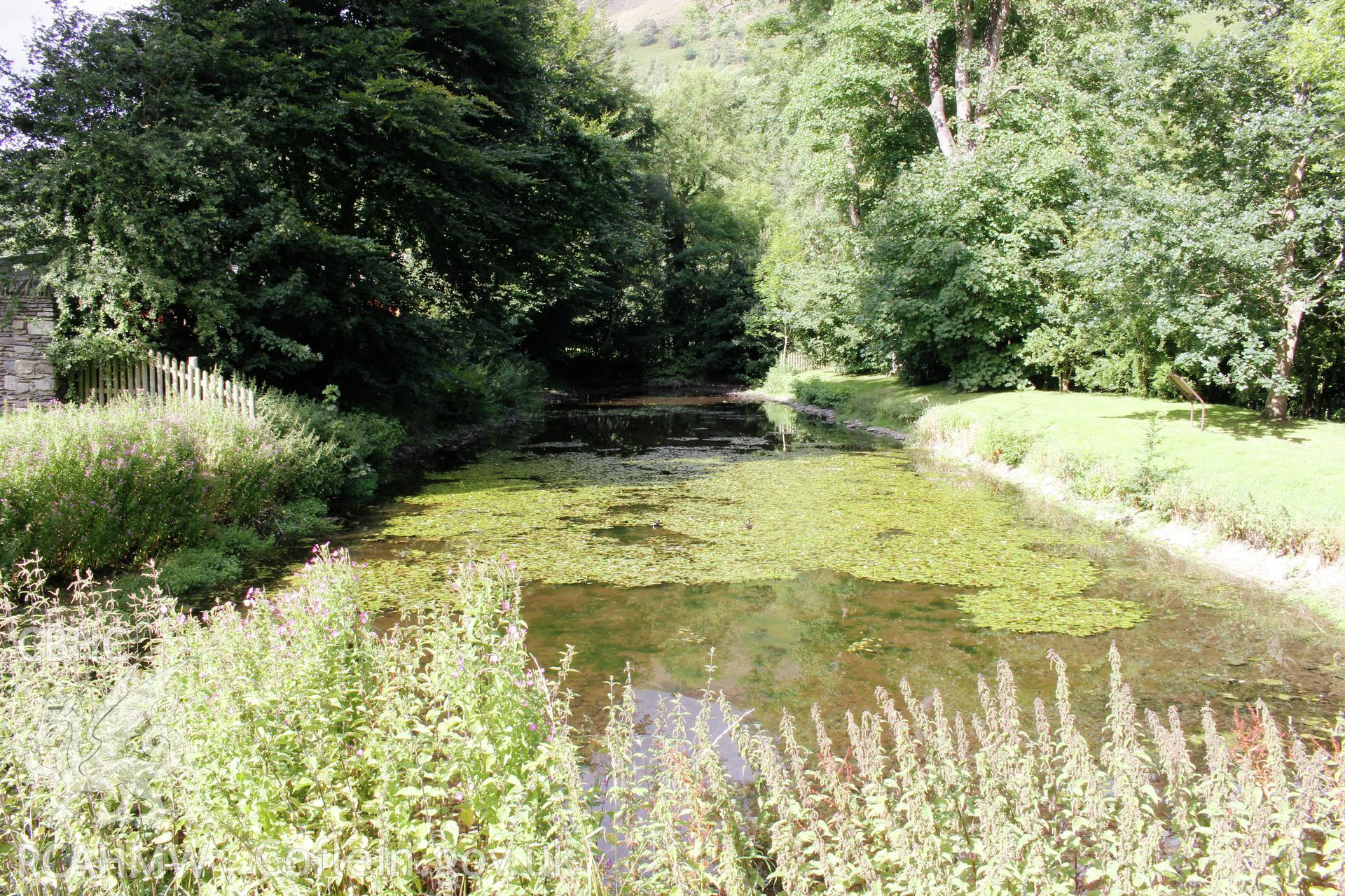 Valle Crucis Abbey: Fishpond